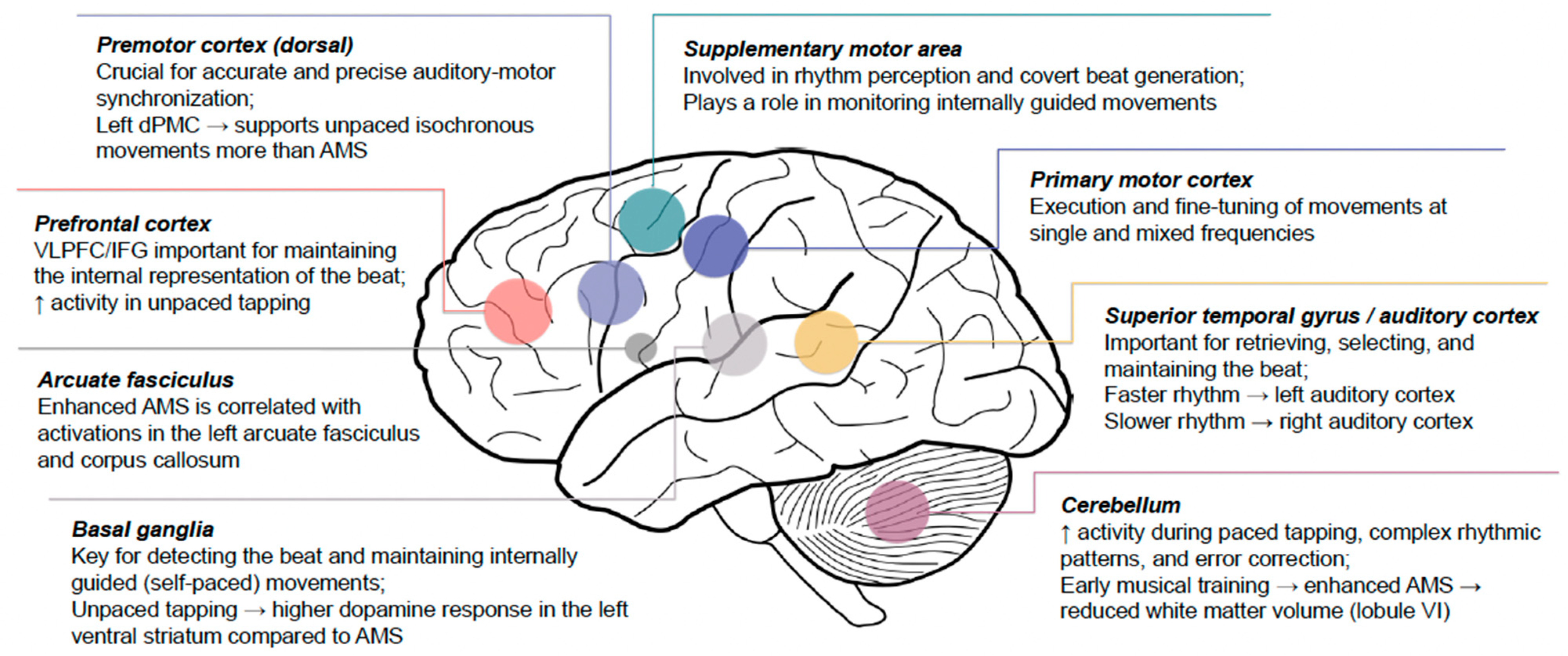 Brainsci 14 01063 g002