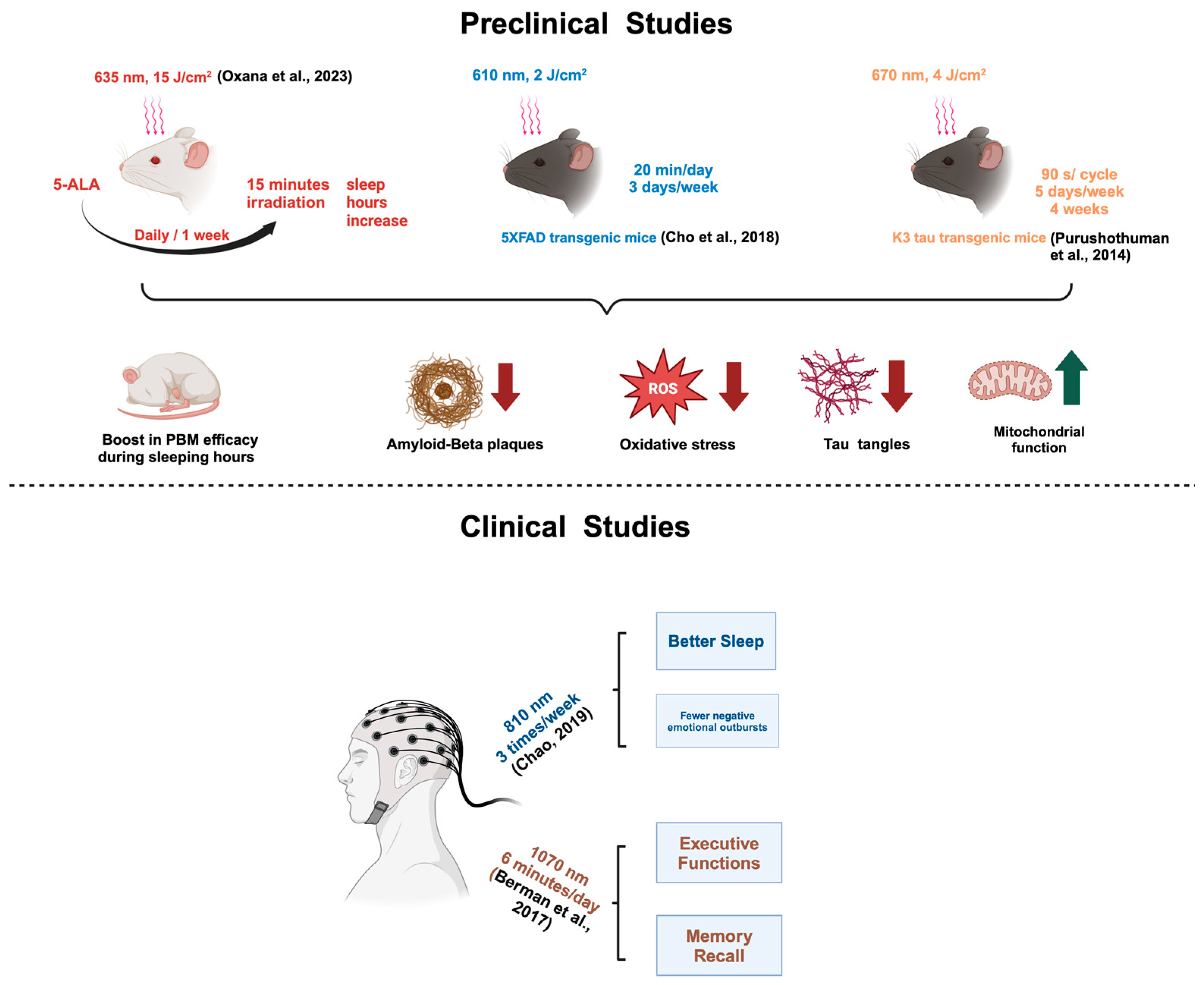 Brainsci 14 01064 g002