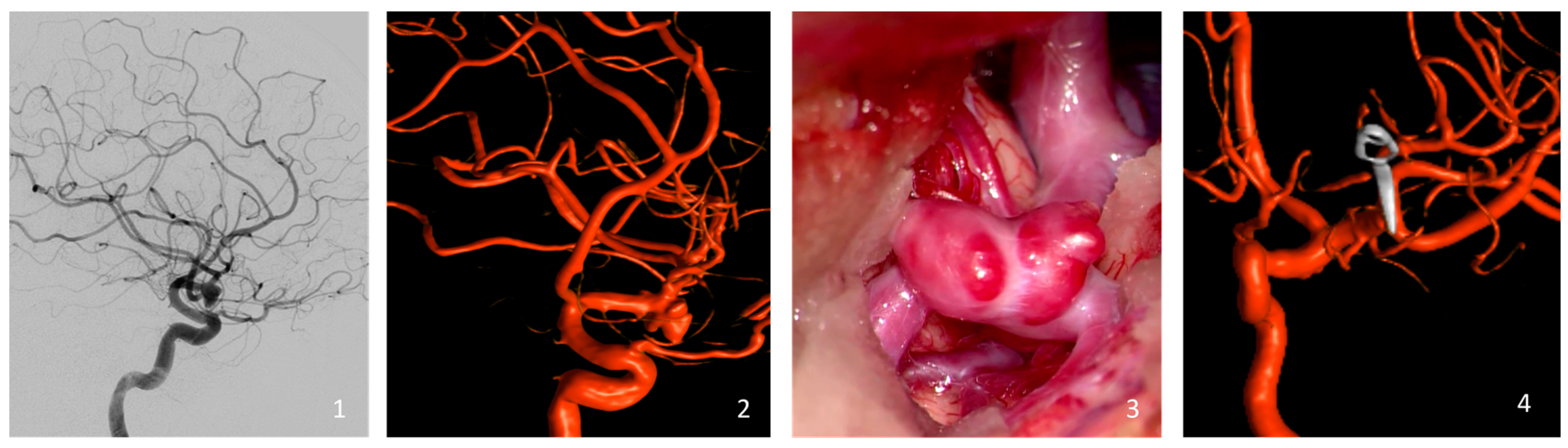 Brainsci 14 01068 g001