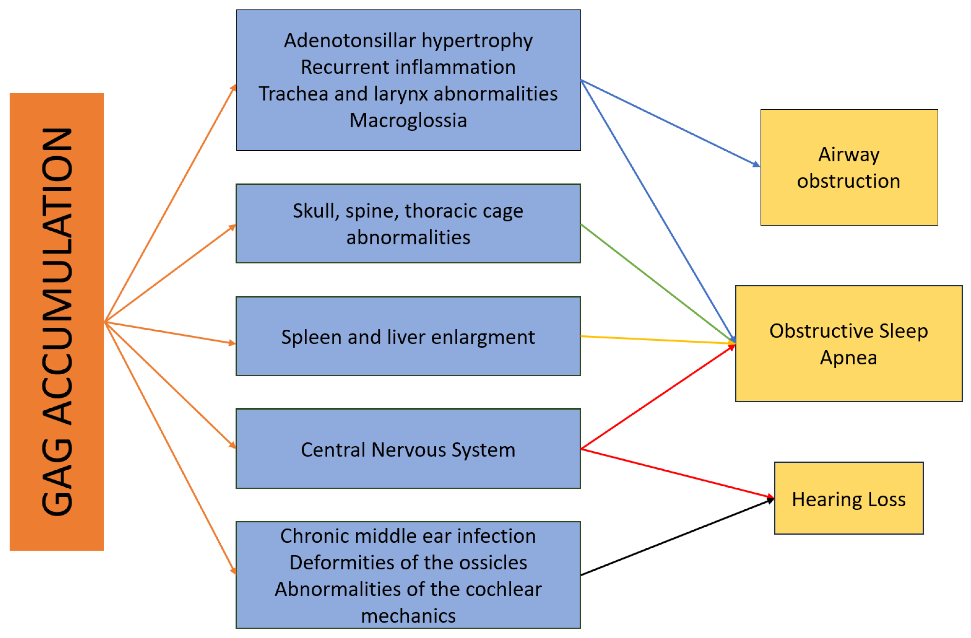 Brainsci 14 01085 g002 Brainsci 14 01085 g002