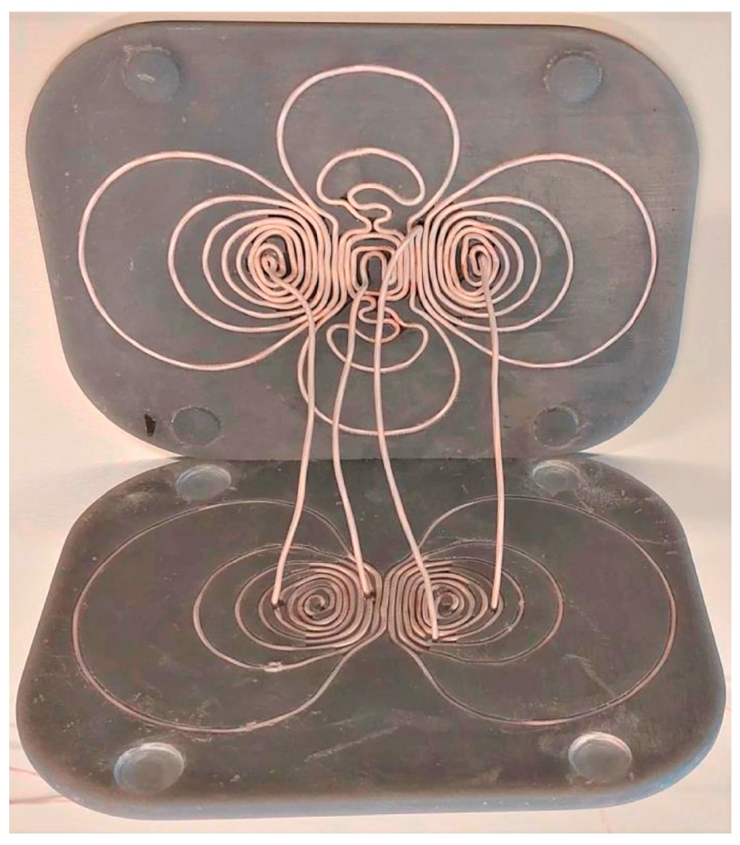 Brainsci 14 01092 g003