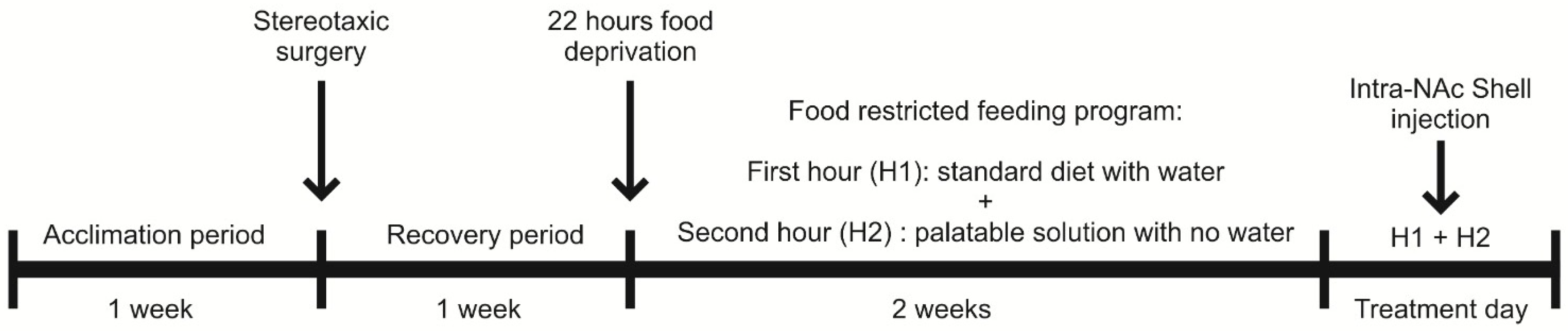 Brainsci 14 01103 g001