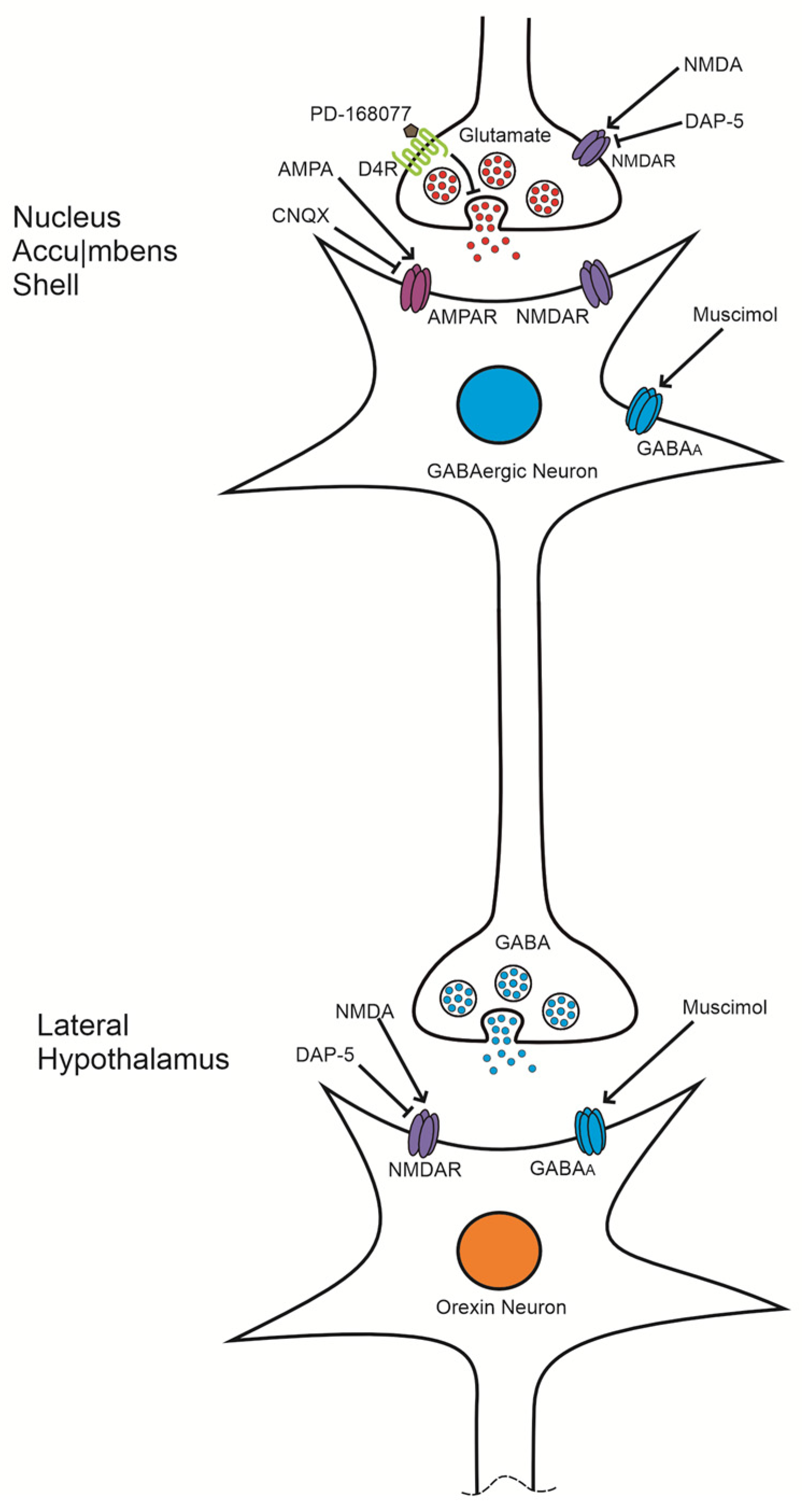 Brainsci 14 01103 g006