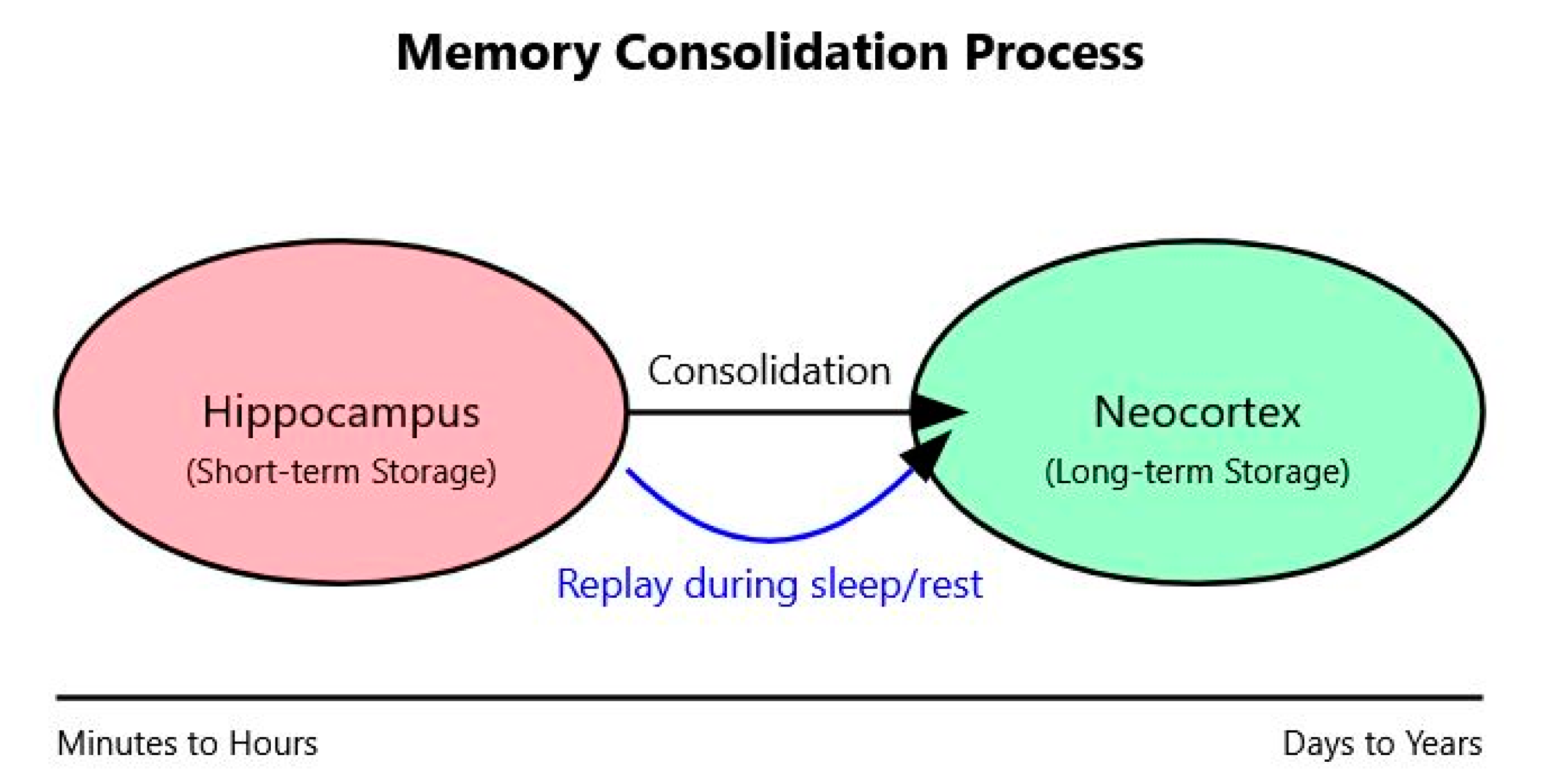 Brainsci 14 01111 g004