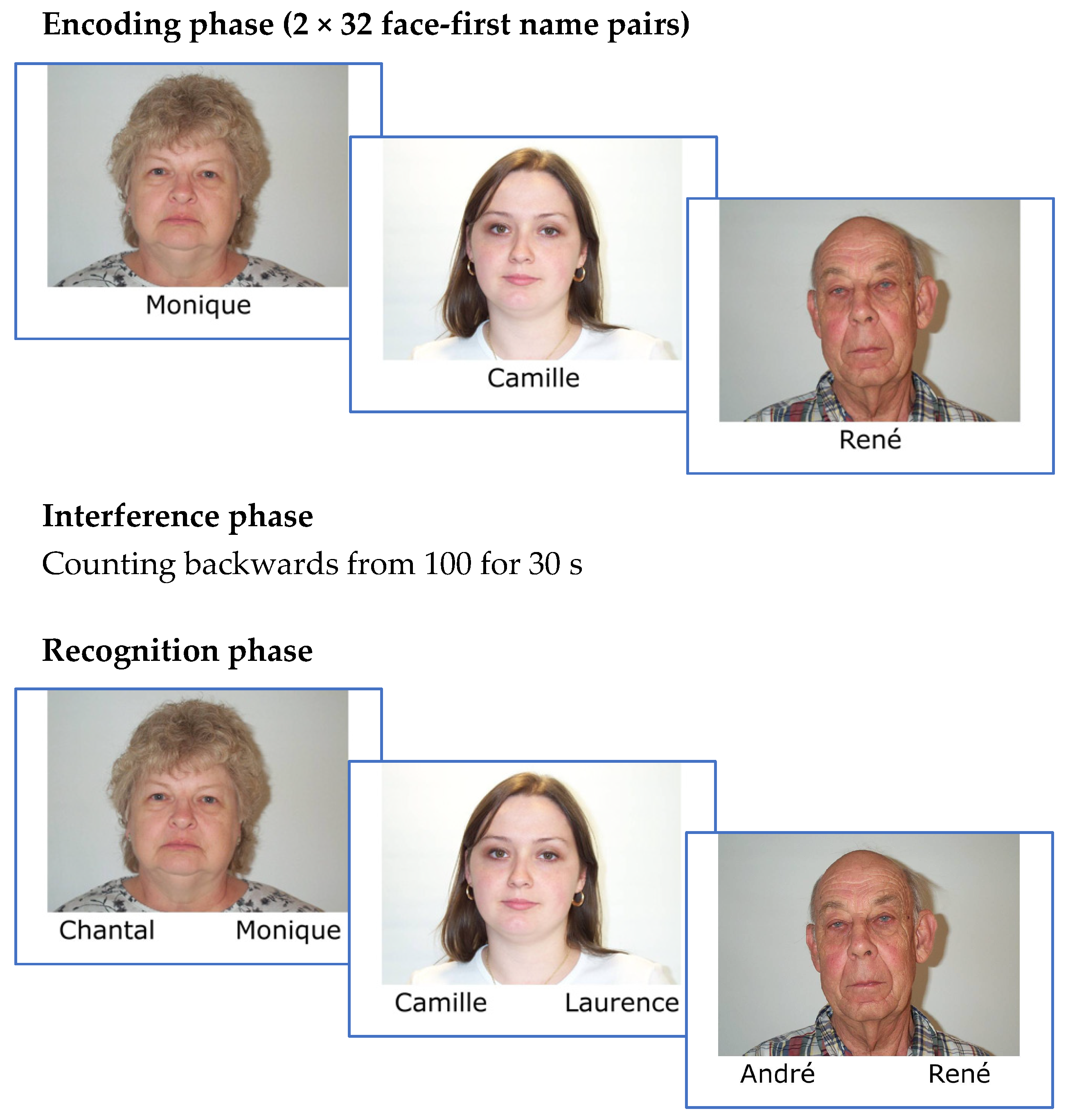Brainsci 14 01129 g001