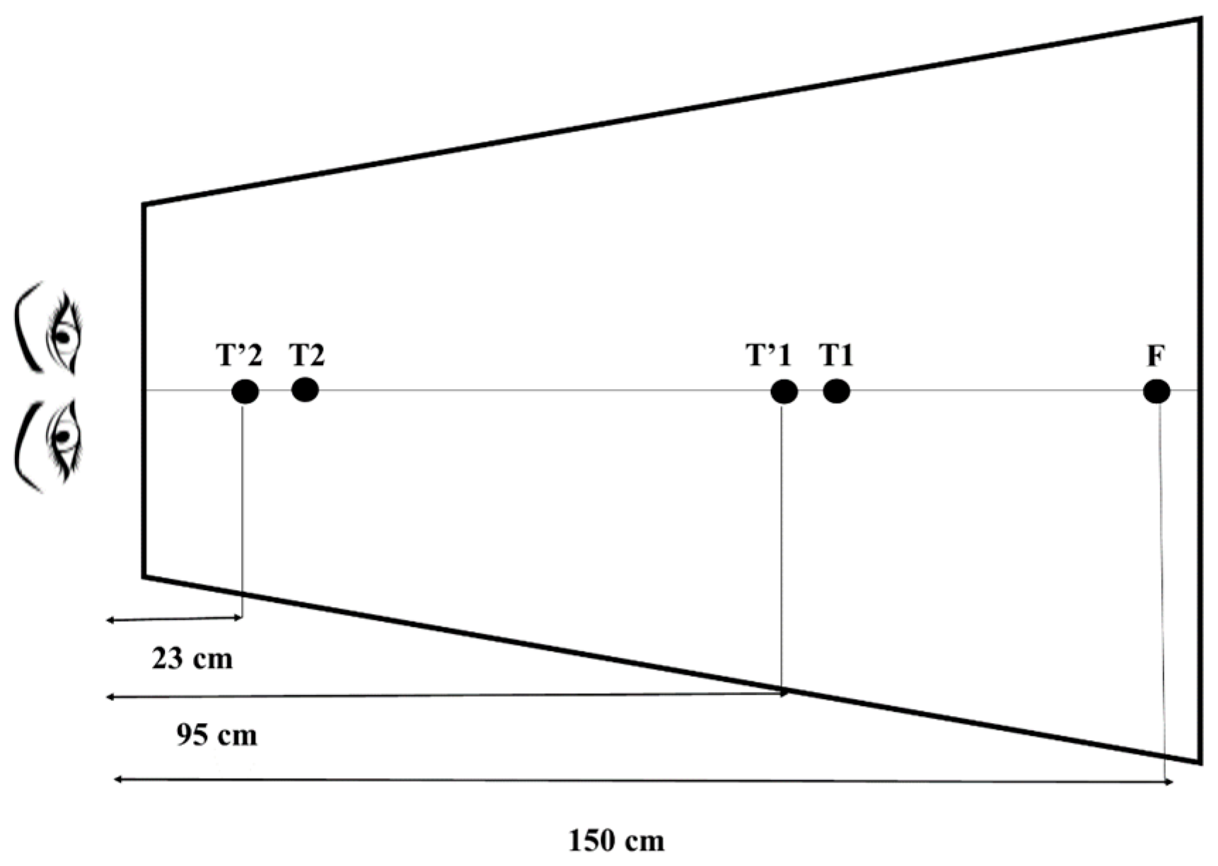 Brainsci 14 01131 g002