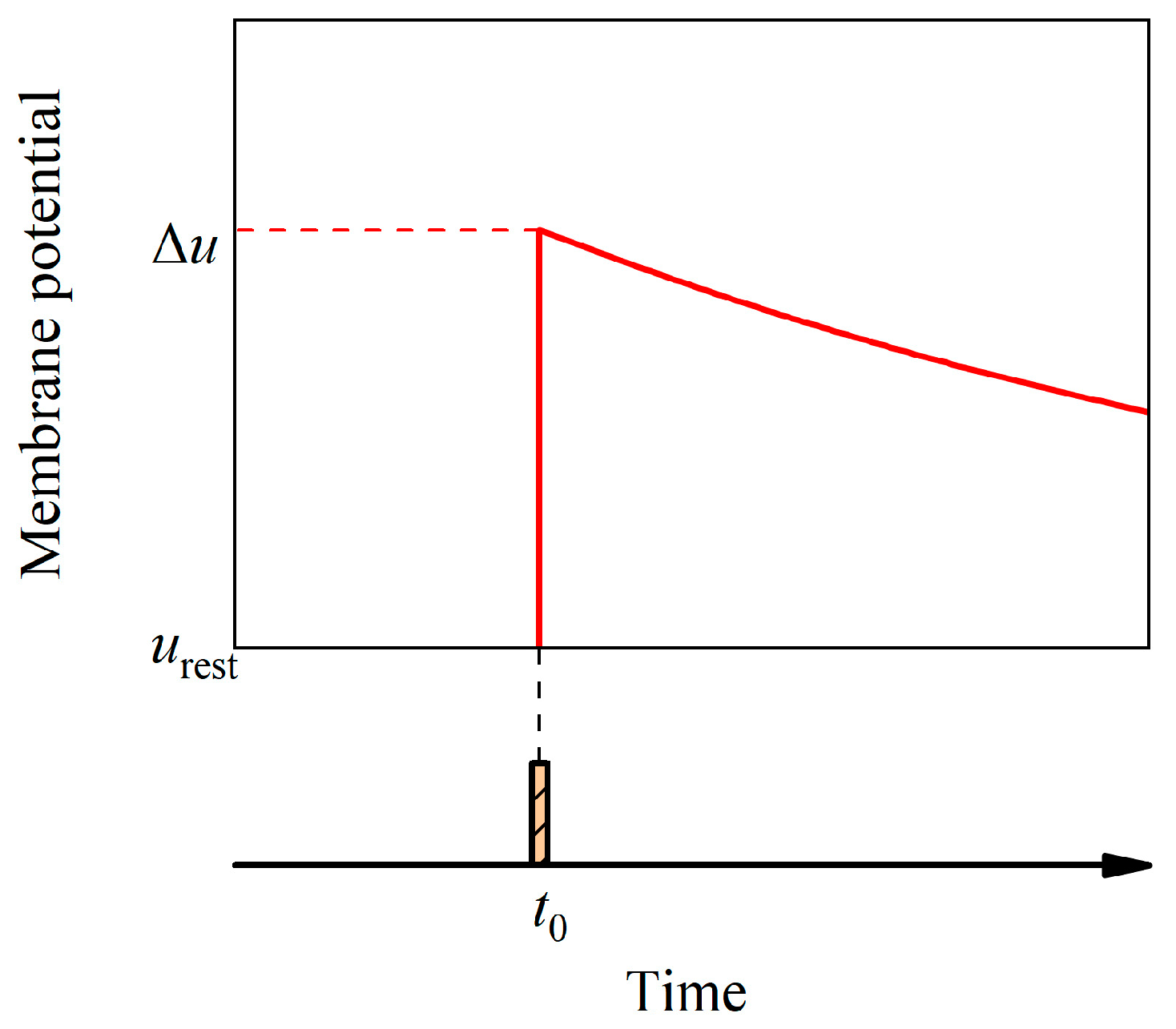 Brainsci 14 01149 g001