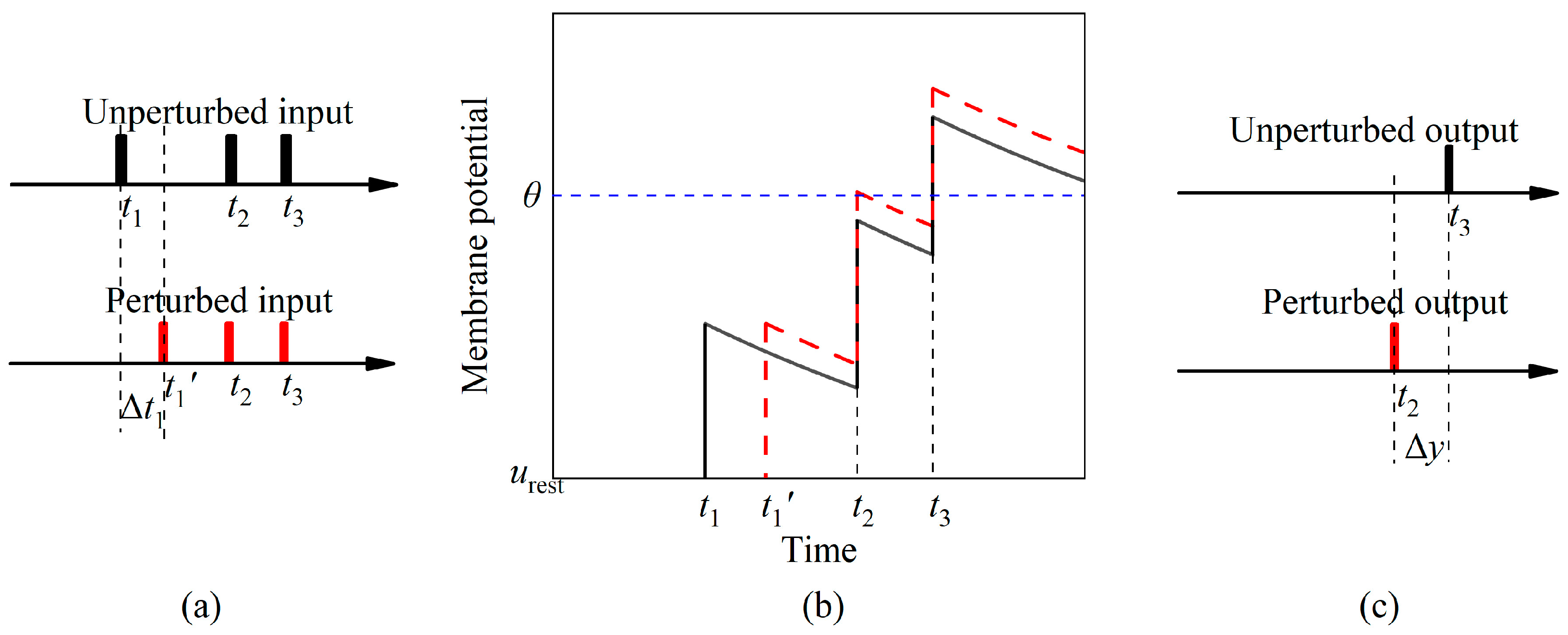 Brainsci 14 01149 g002