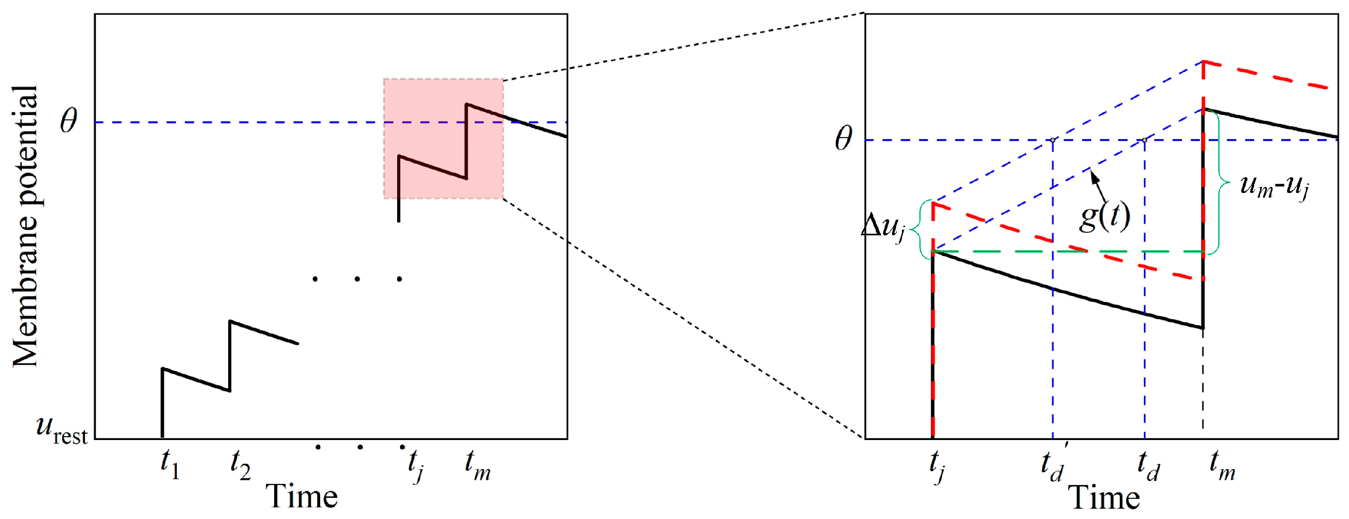 Brainsci 14 01149 g004