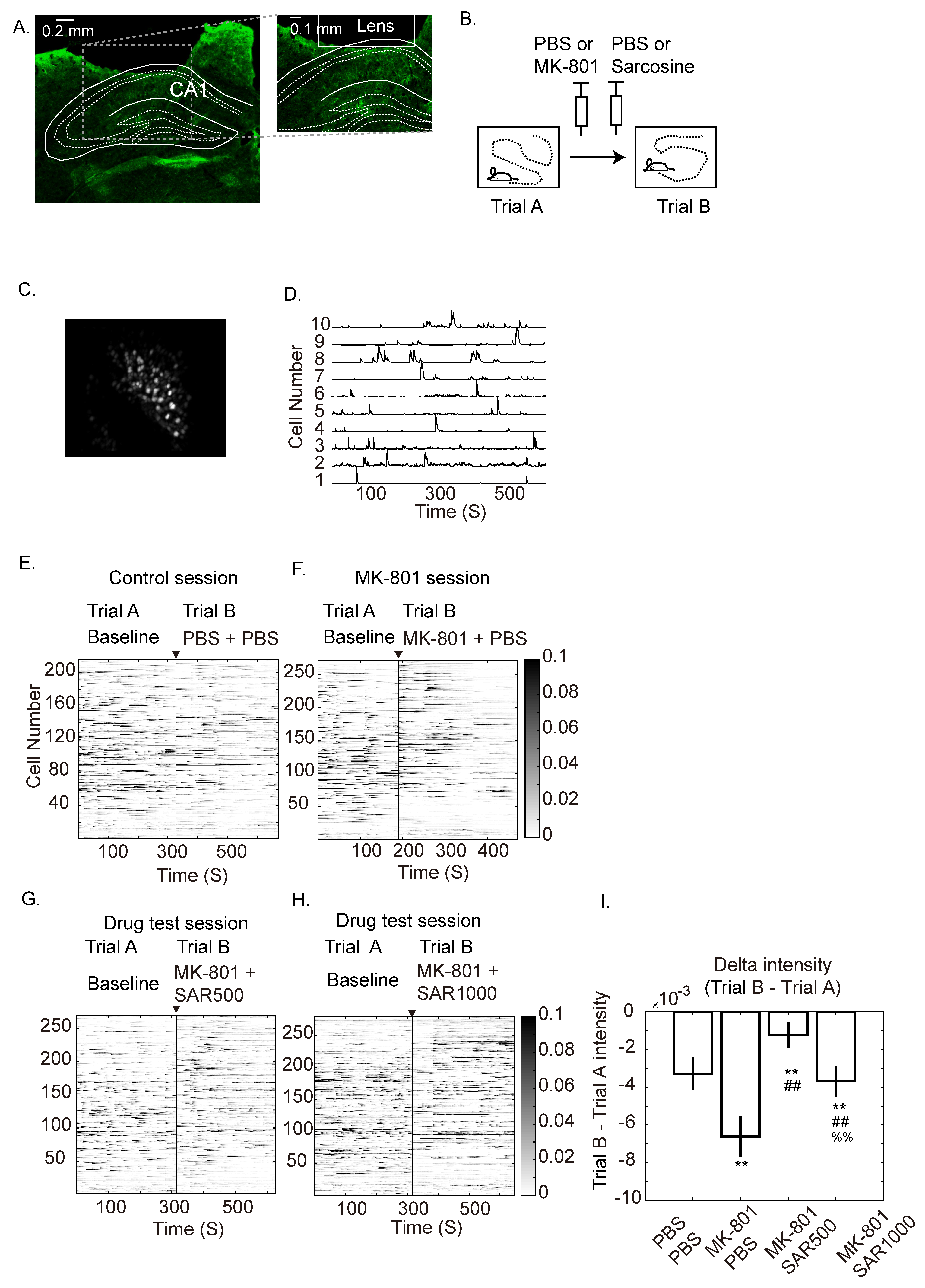 Brainsci 14 01150 g001