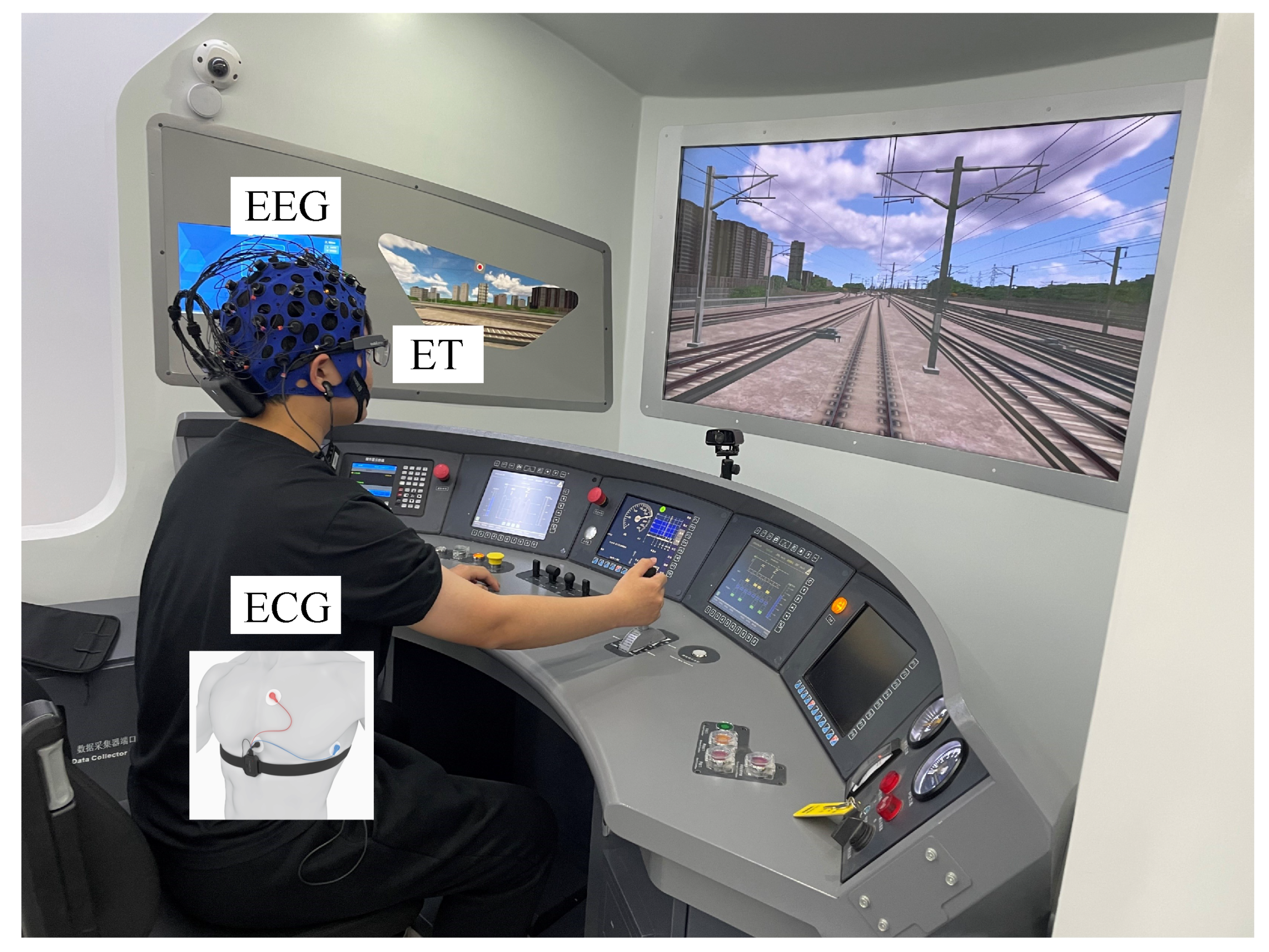 Brainsci 14 01156 g001 Brainsci 14 01156 g001