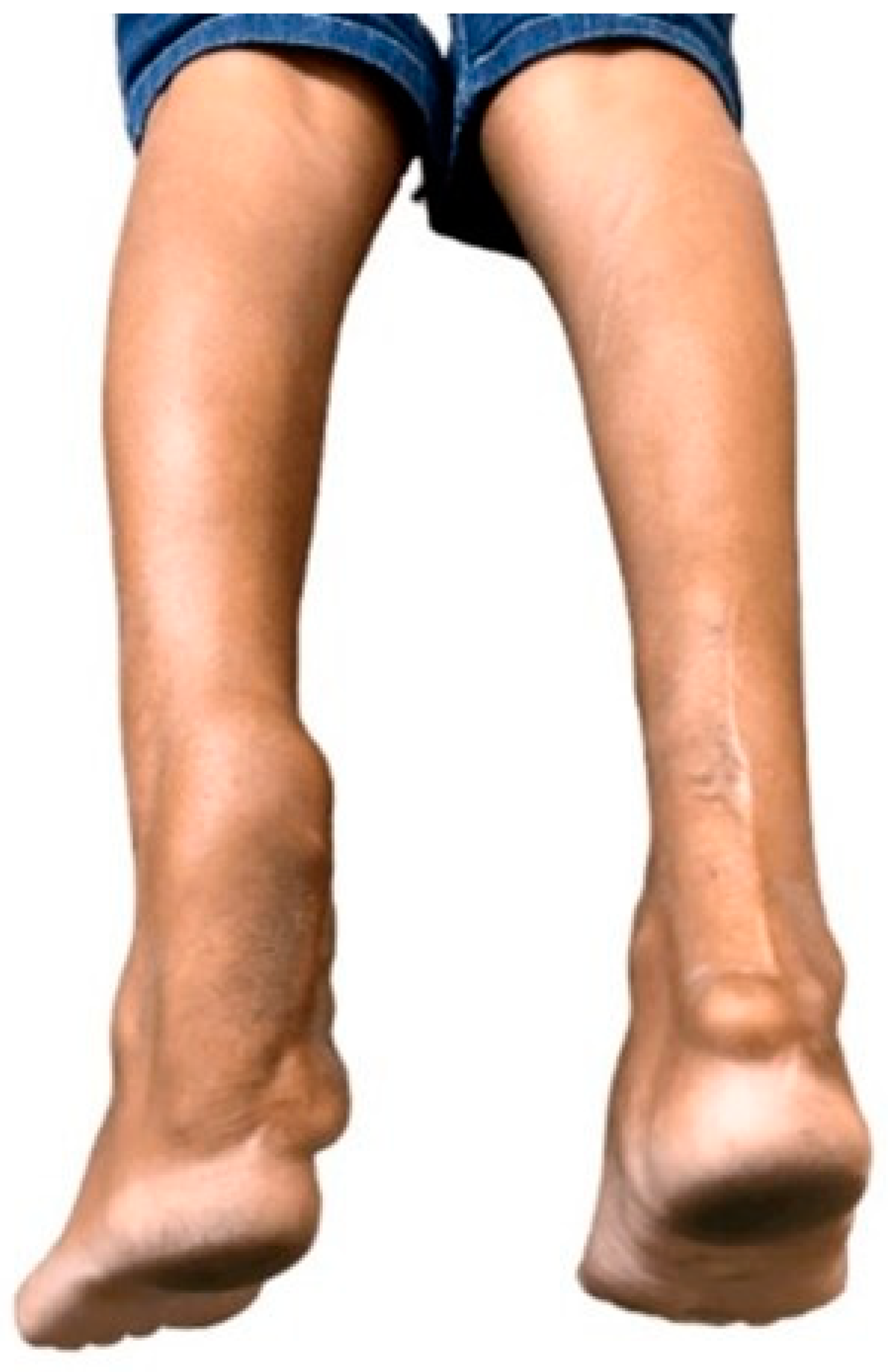 Brainsci 14 01159 g002