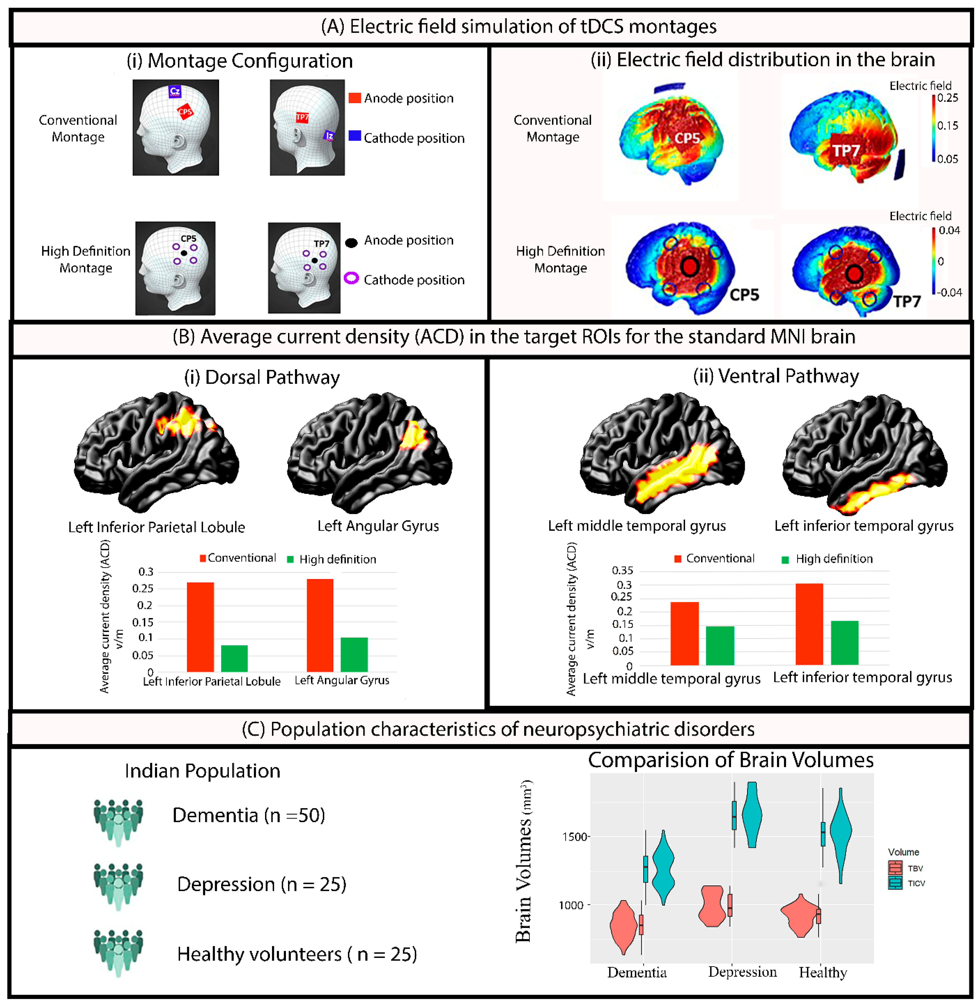 Brainsci 14 01162 g001 Brainsci 14 01162 g001
