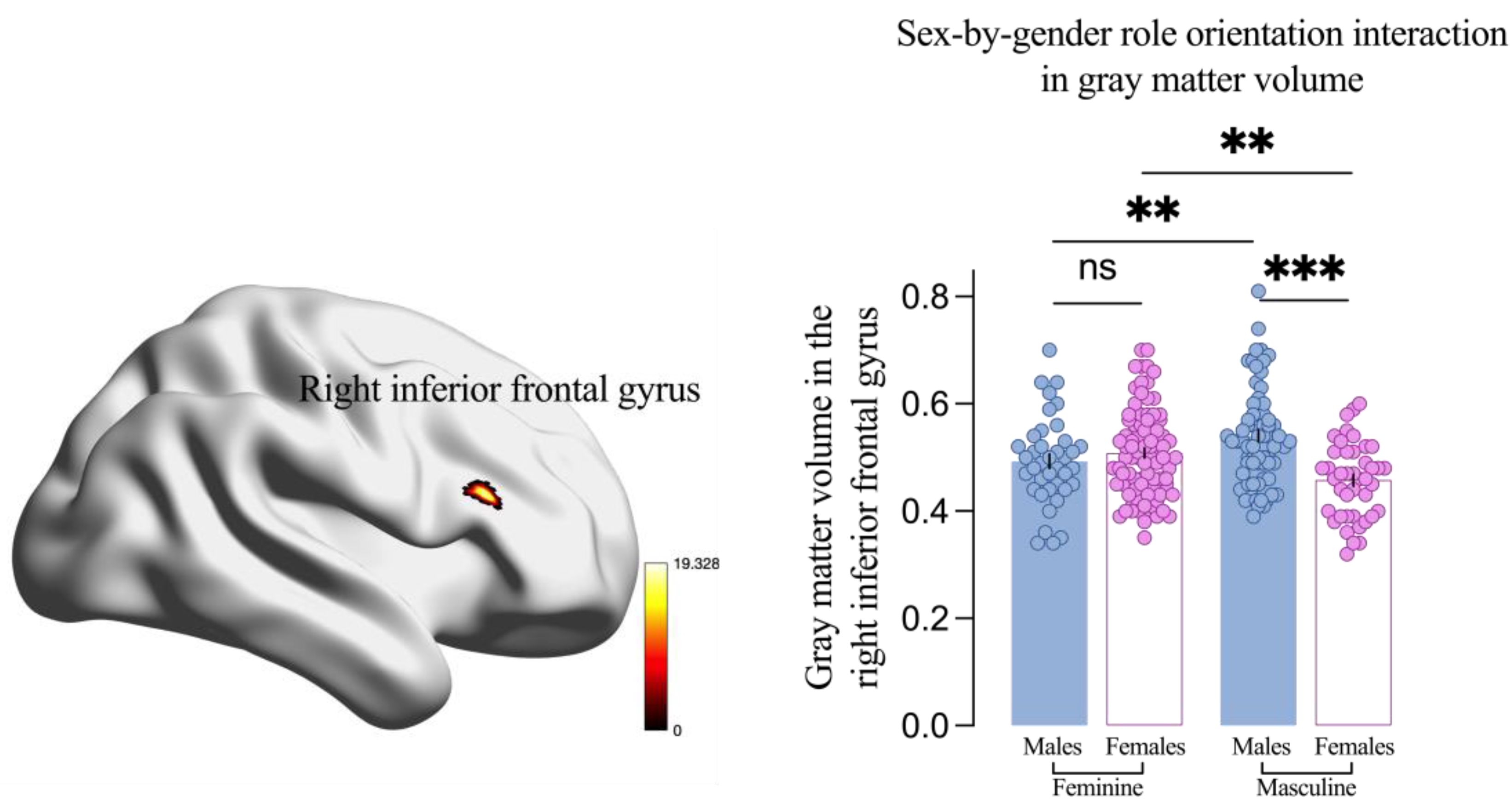 Brainsci 14 01176 g004