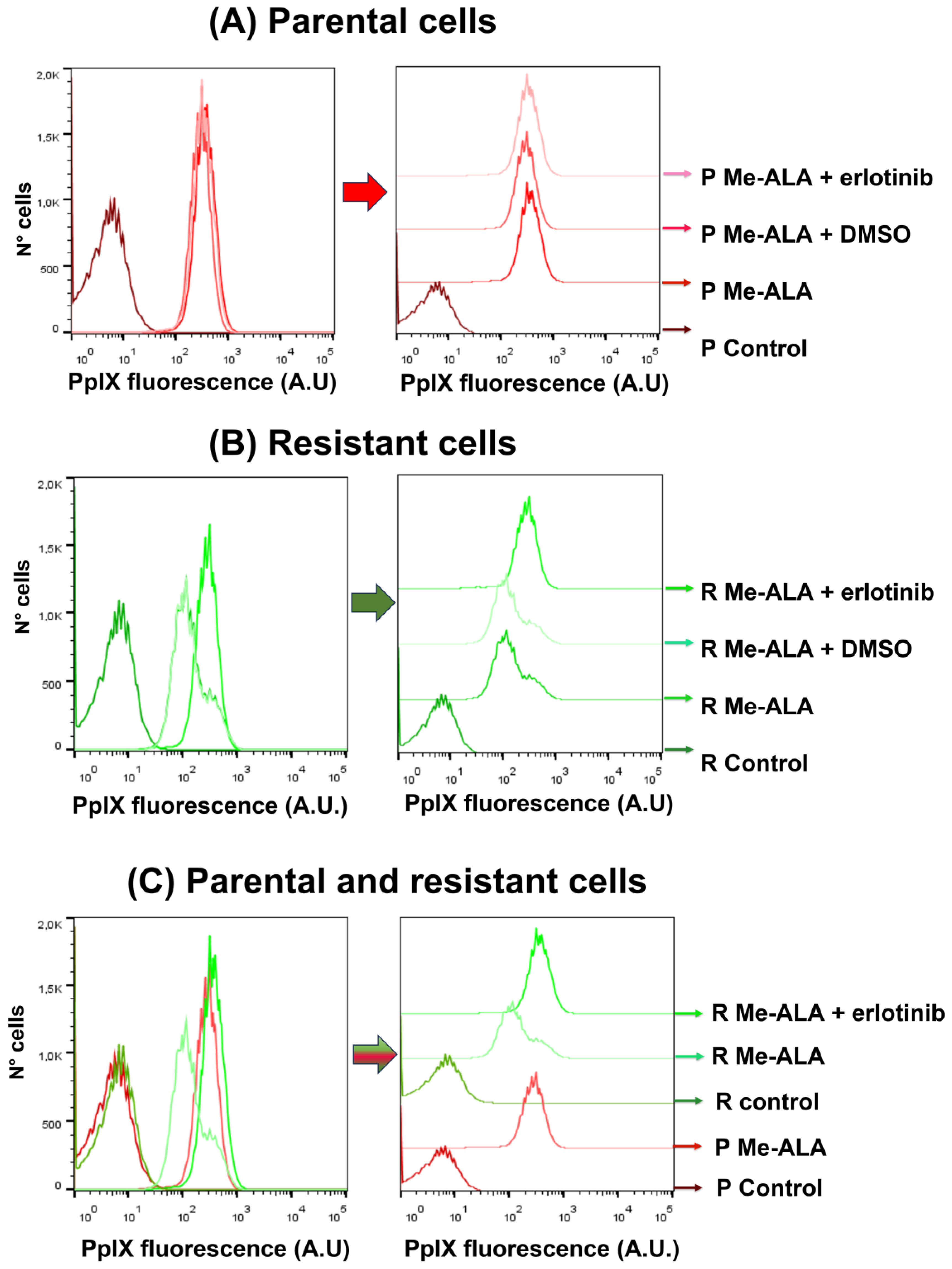 Brainsci 14 01192 g003a