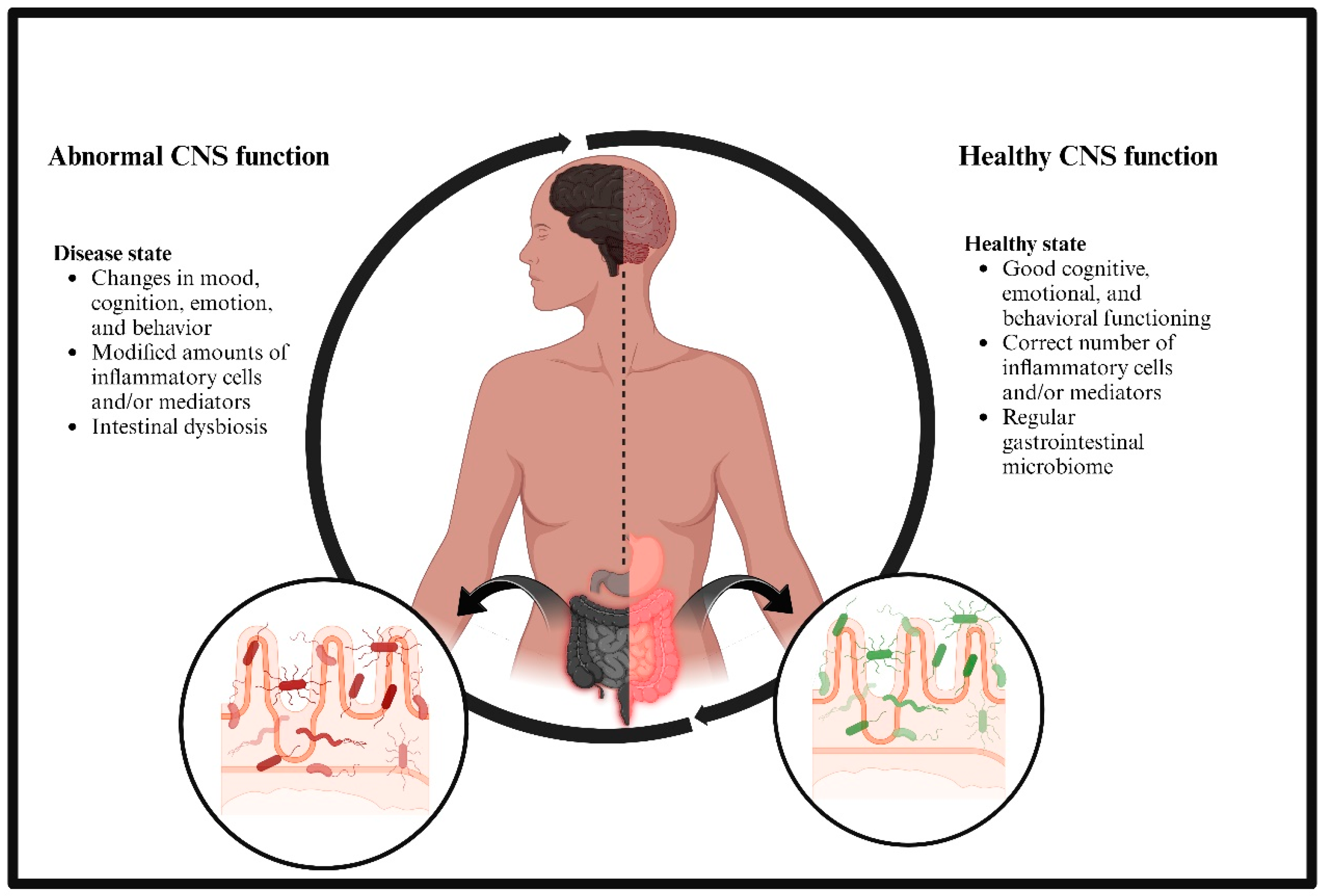 Brainsci 14 01224 g001