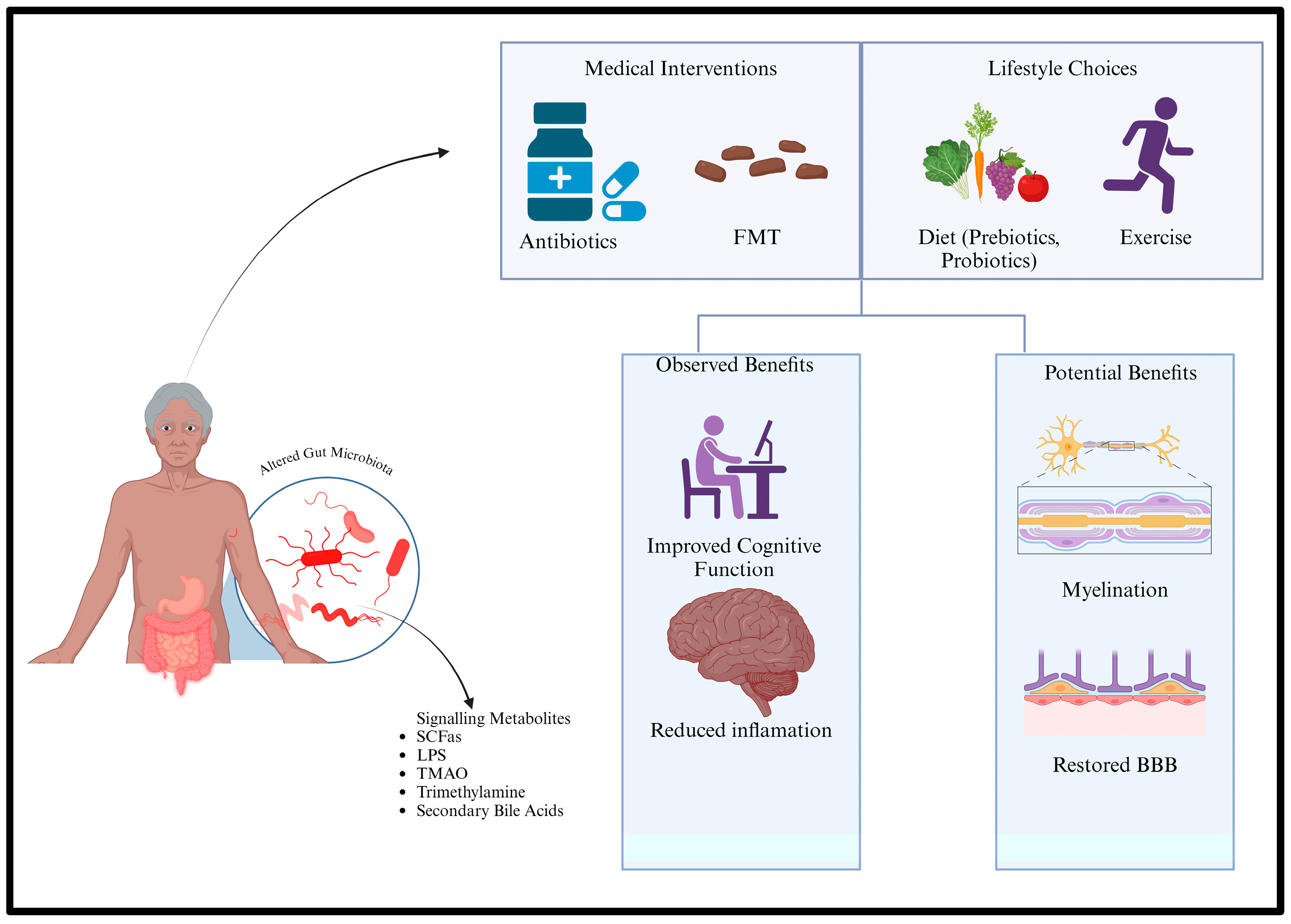 Brainsci 14 01224 g004