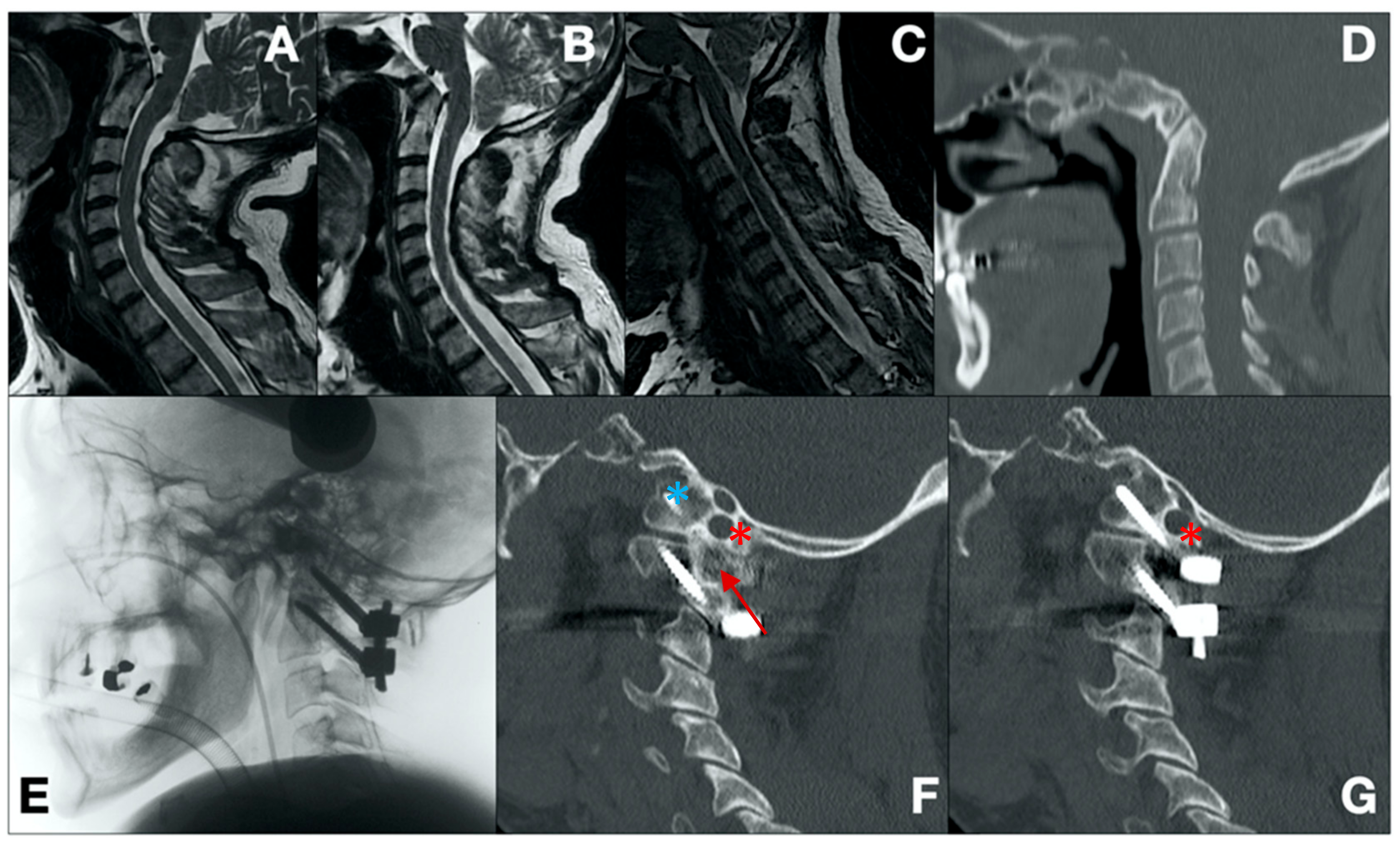 Brainsci 14 01228 g003