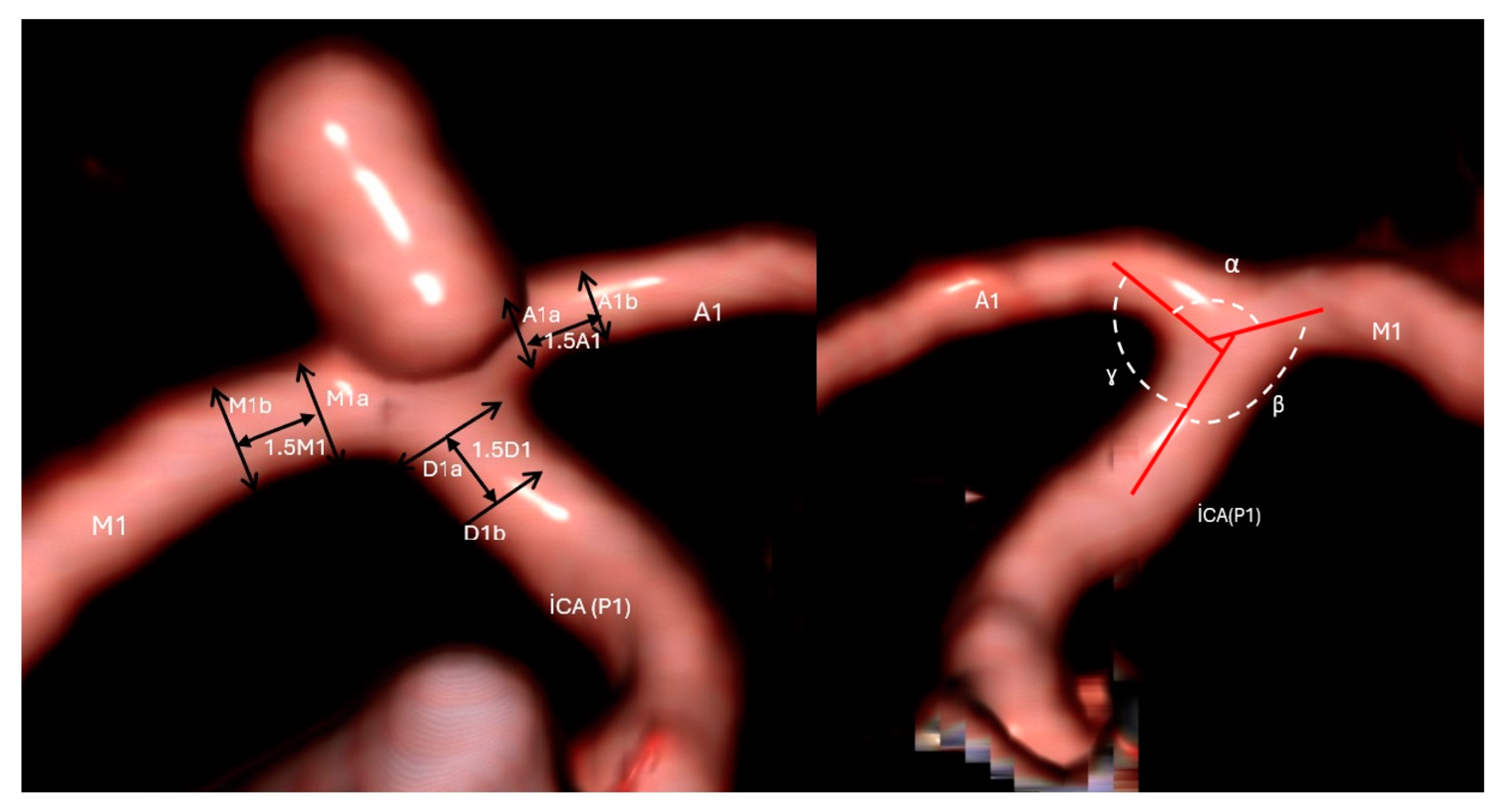 Brainsci 14 01247 g001