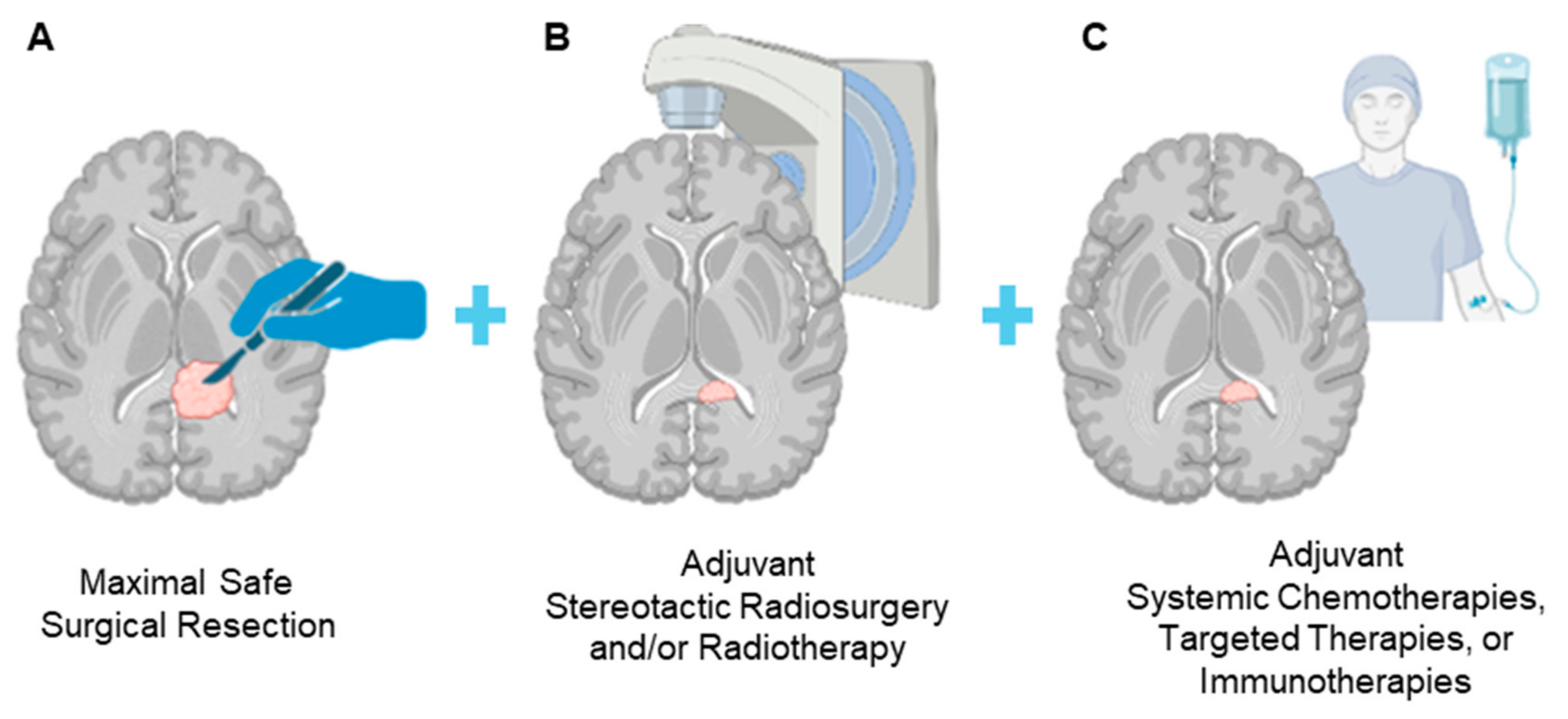 Brainsci 14 01253 g001 Brainsci 14 01253 g001