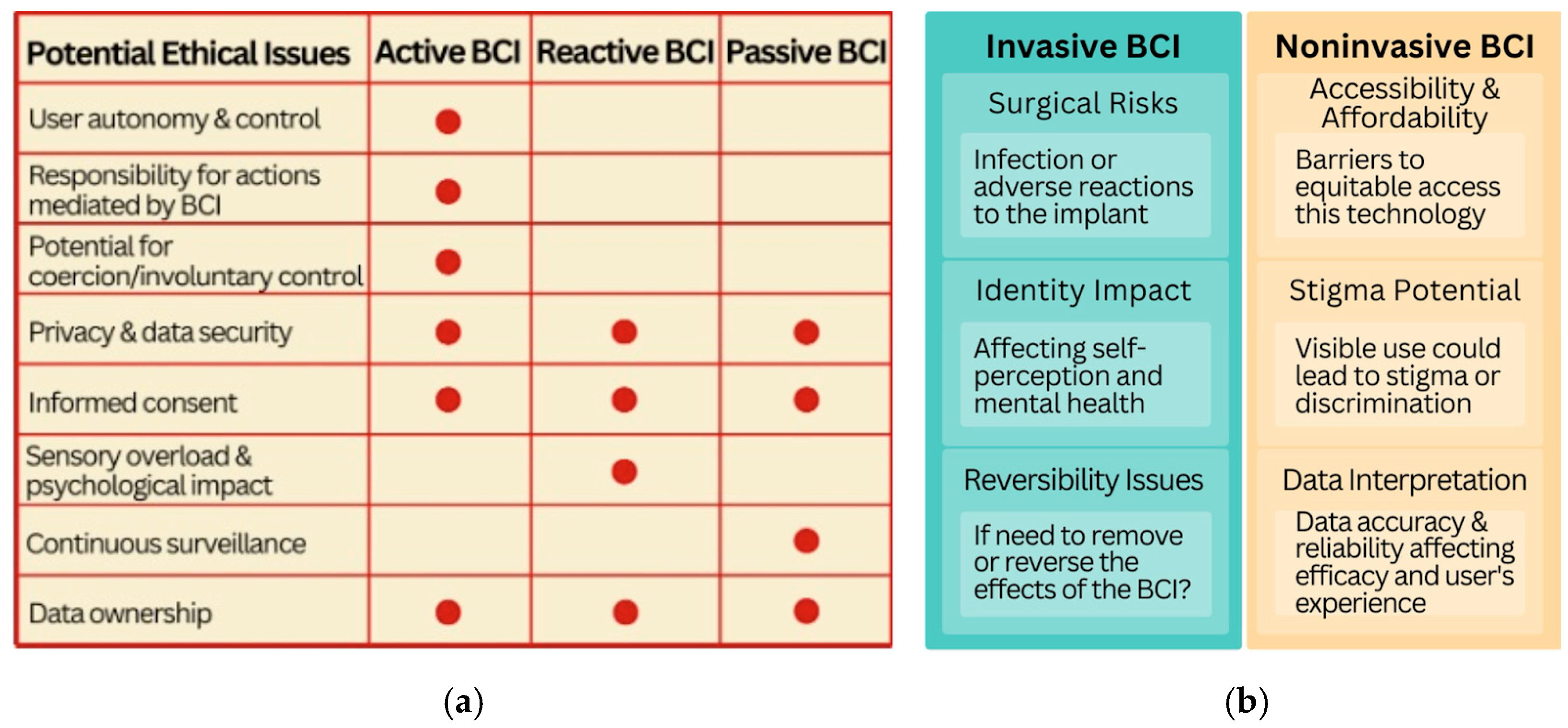 Brainsci 14 01255 g001