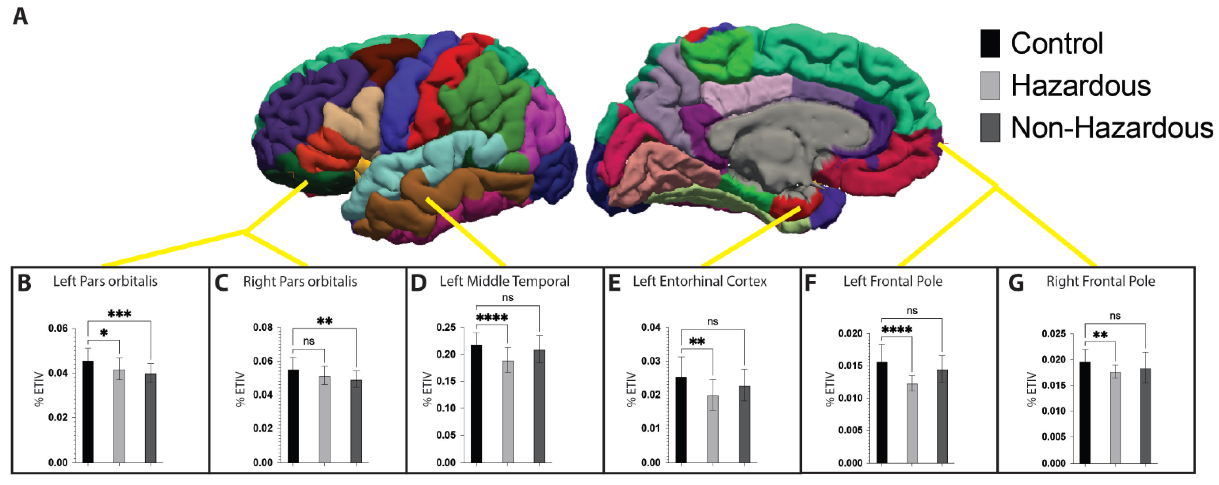 Brainsci 14 01263 g002