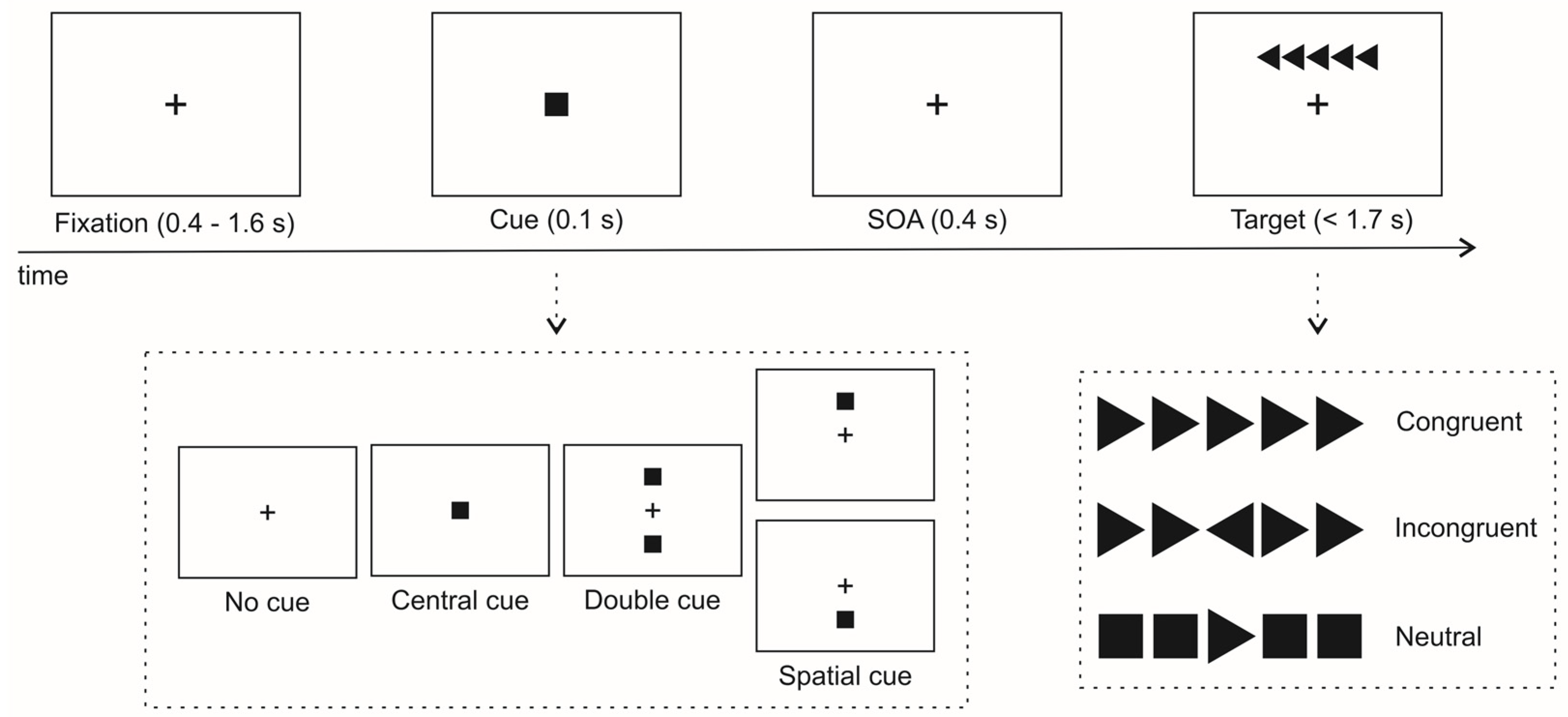 Brainsci 15 00006 g001