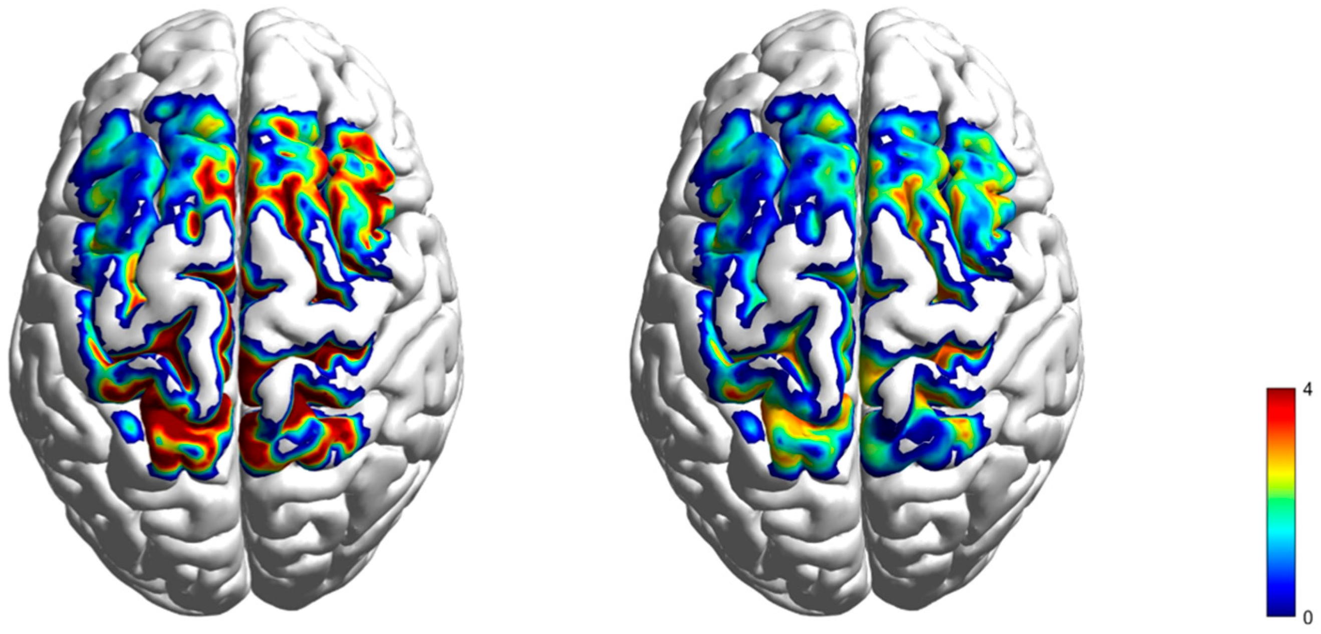 Brainsci 15 00008 g004