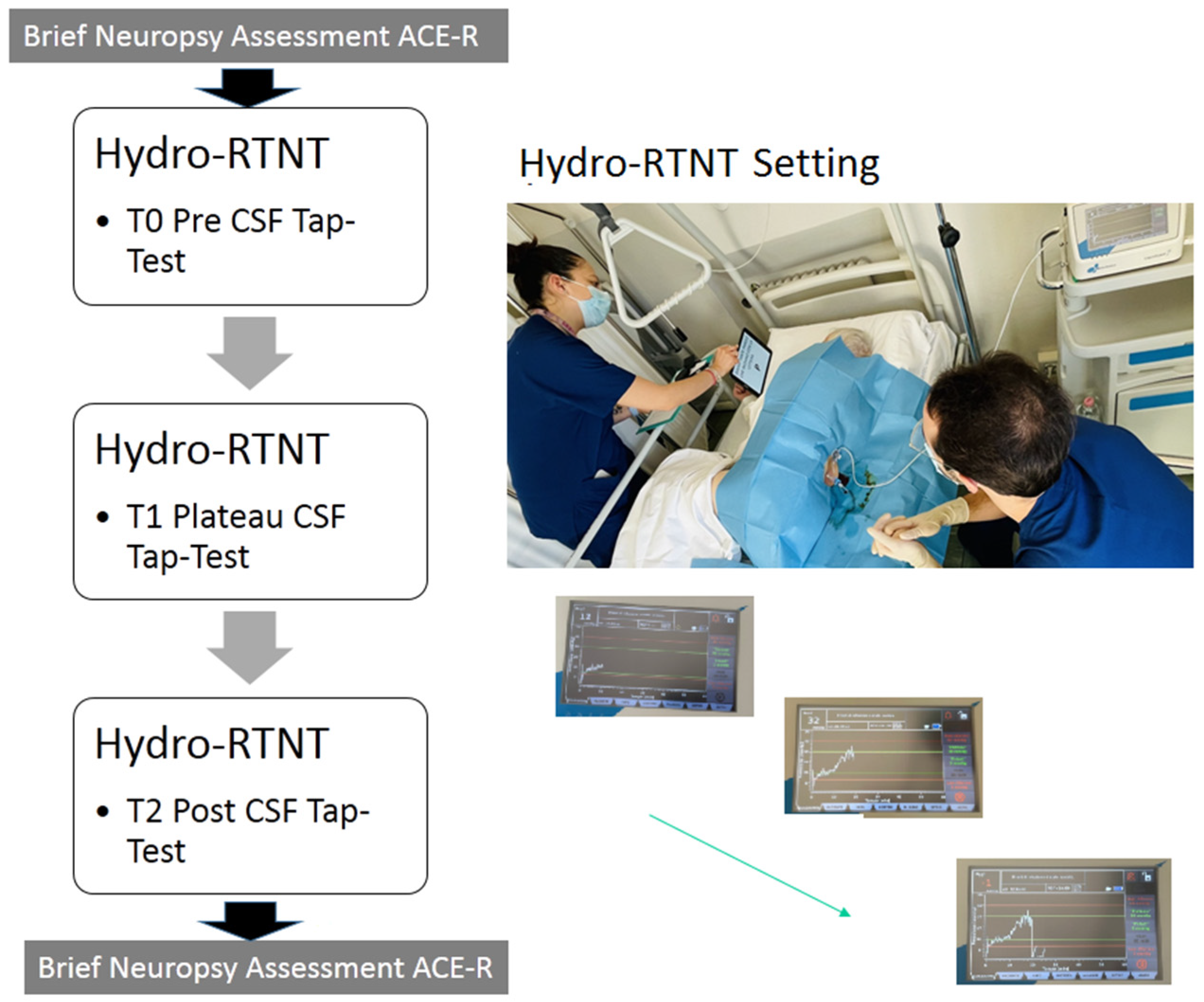 Brainsci 15 00036 g001 Brainsci 15 00036 g001