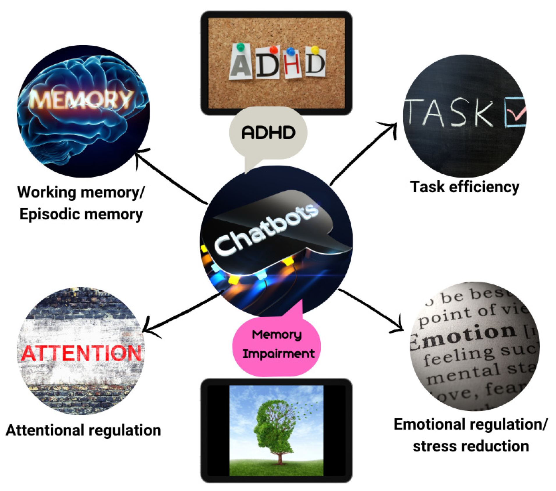 Brainsci 15 00047 g006