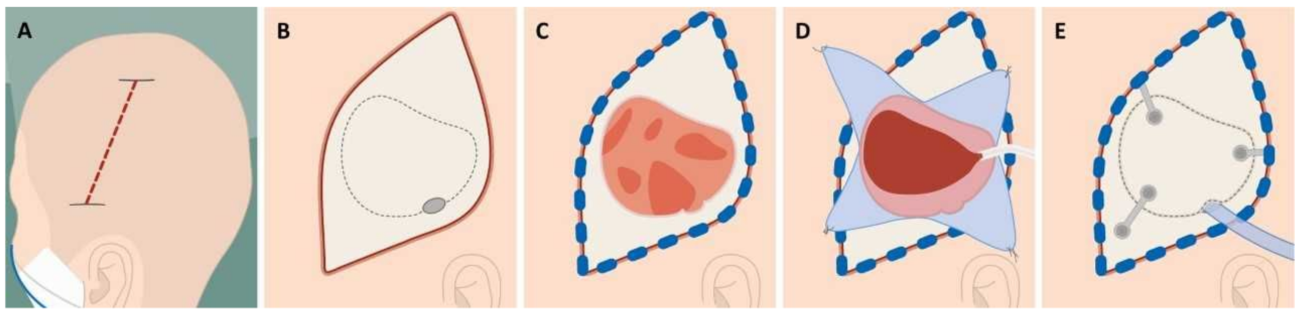 Brainsci 15 00058 g001