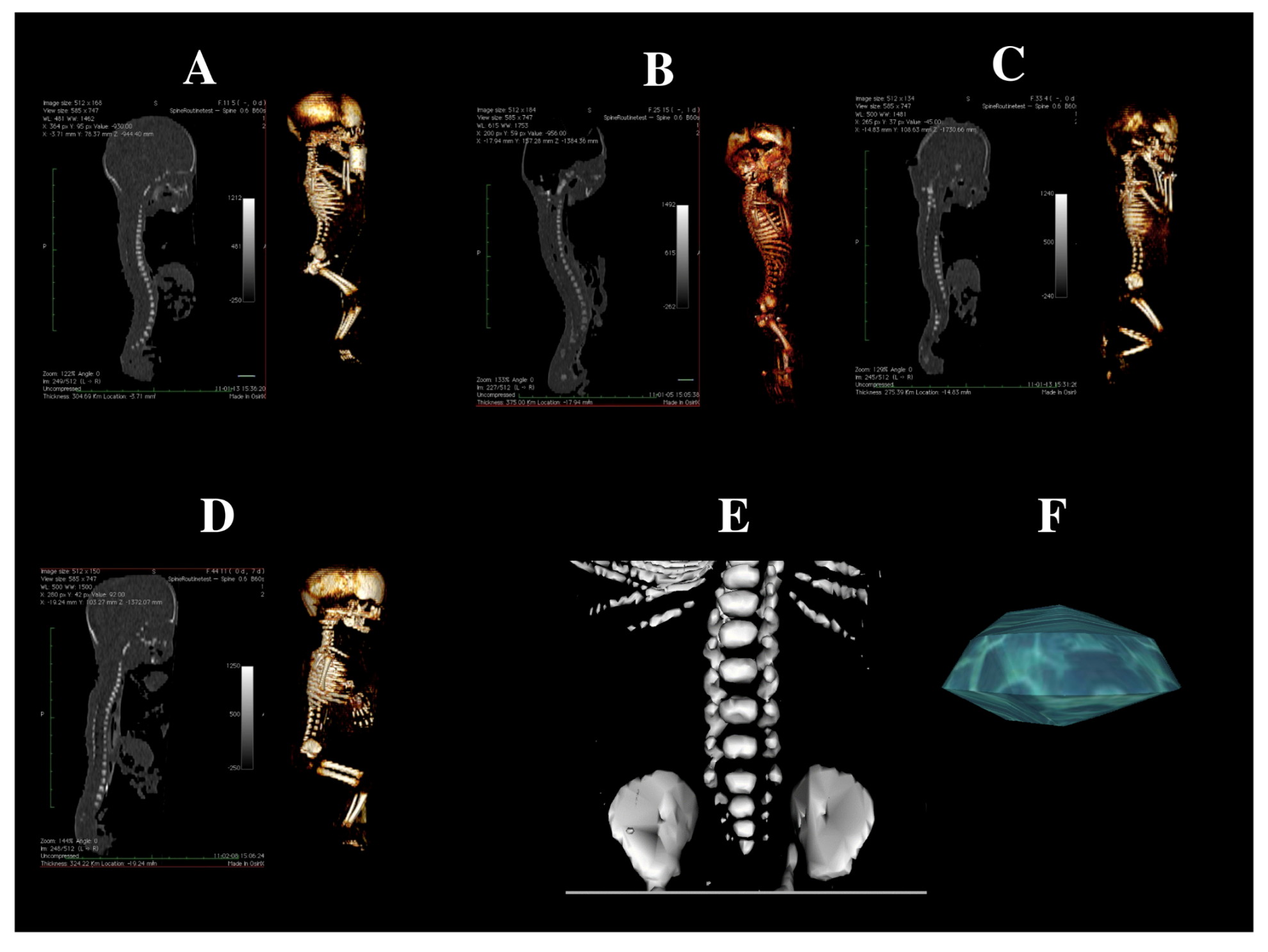 Brainsci 15 00074 g001
