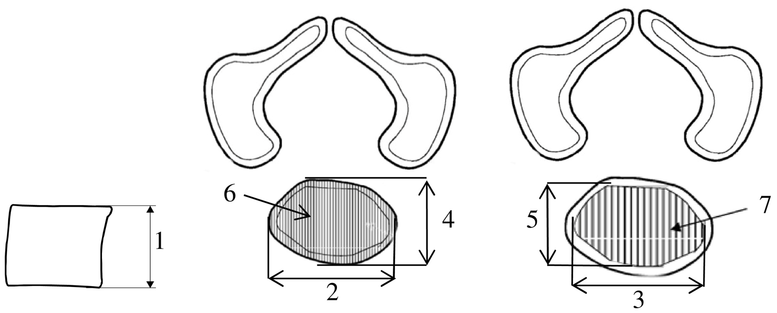 Brainsci 15 00074 g002