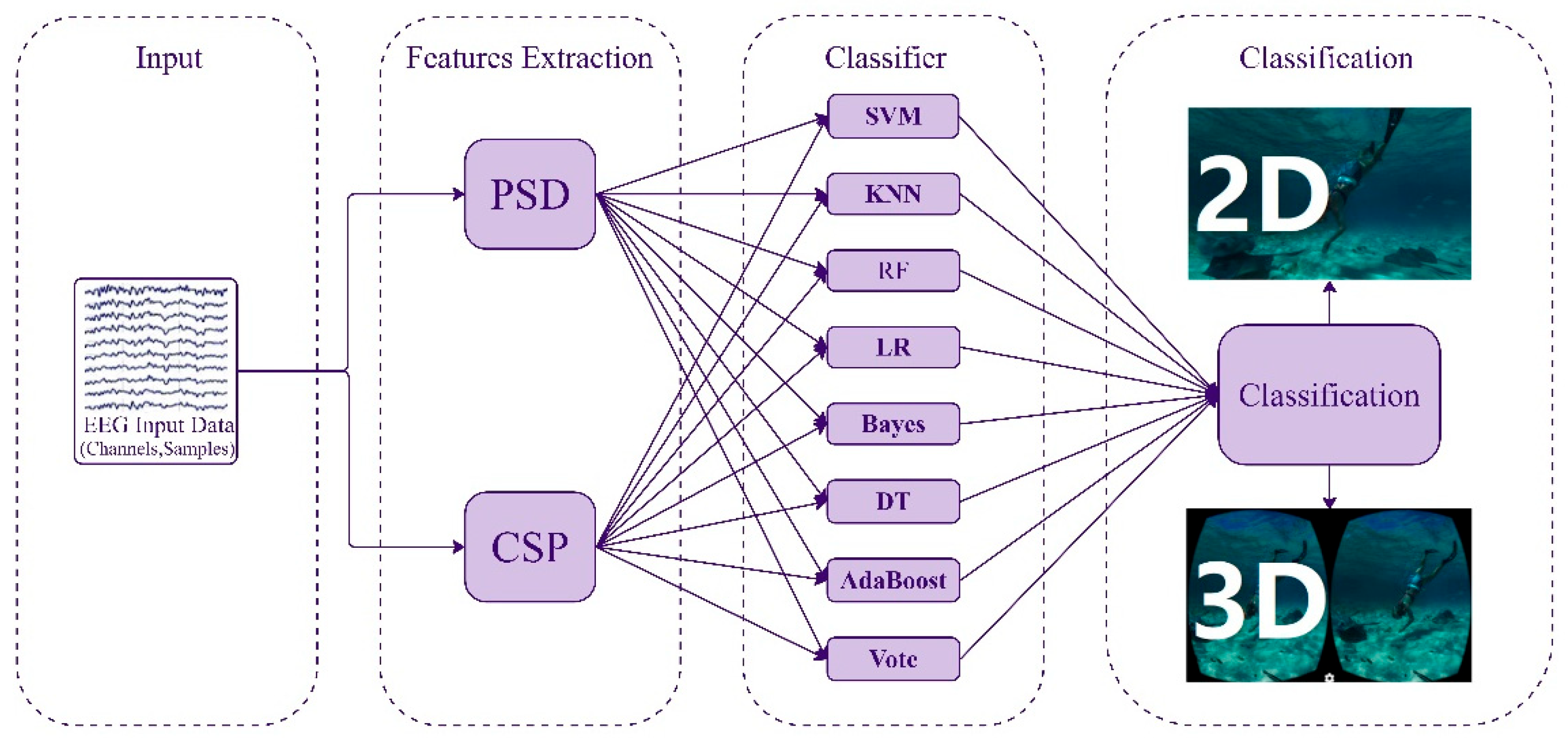 Brainsci 15 00075 g007