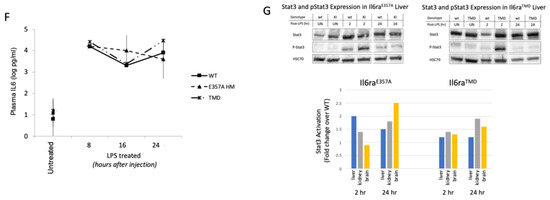 Brainsci 15 00084 g001b