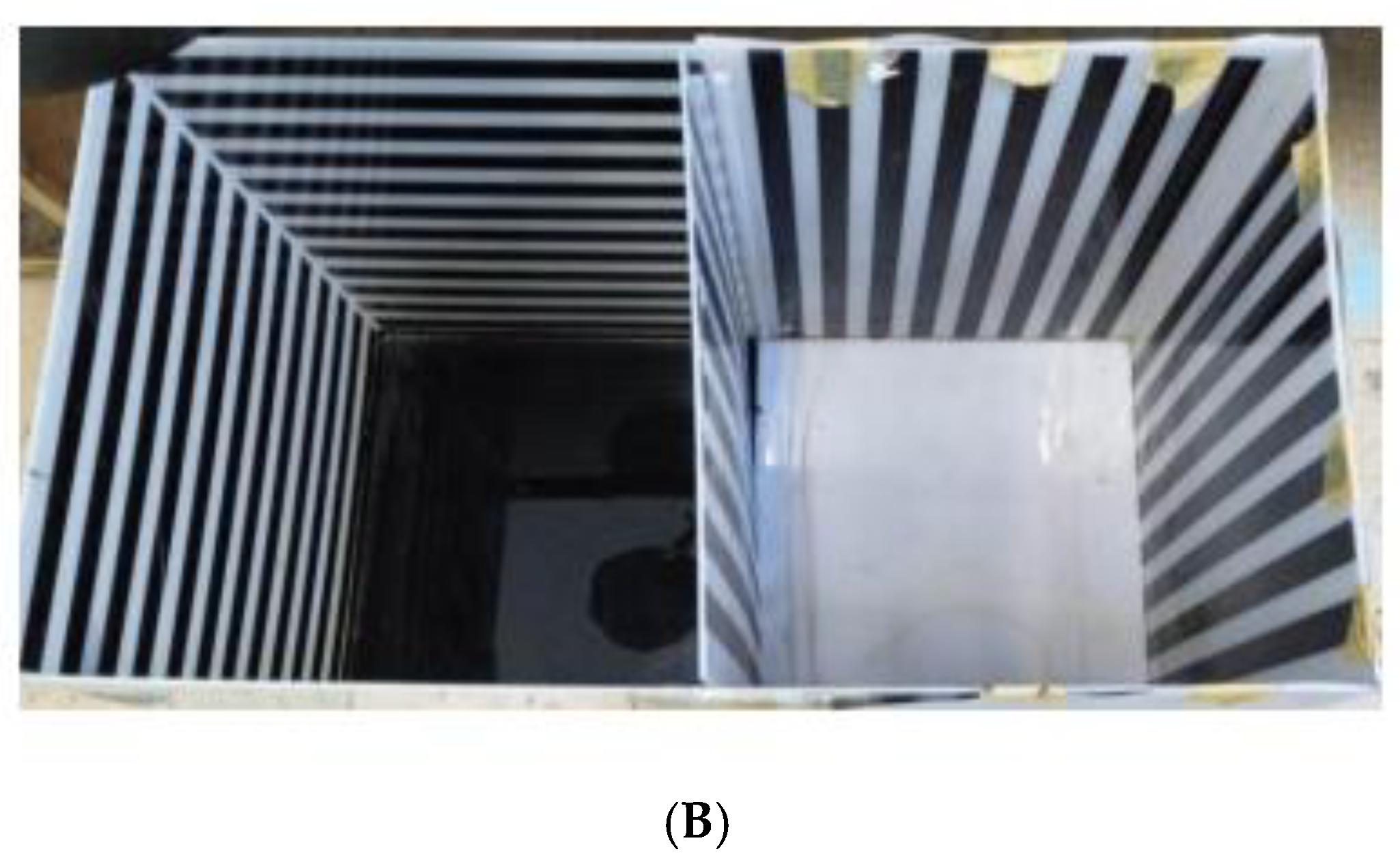 Brainsci 15 00089 g001b Brainsci 15 00089 g001b