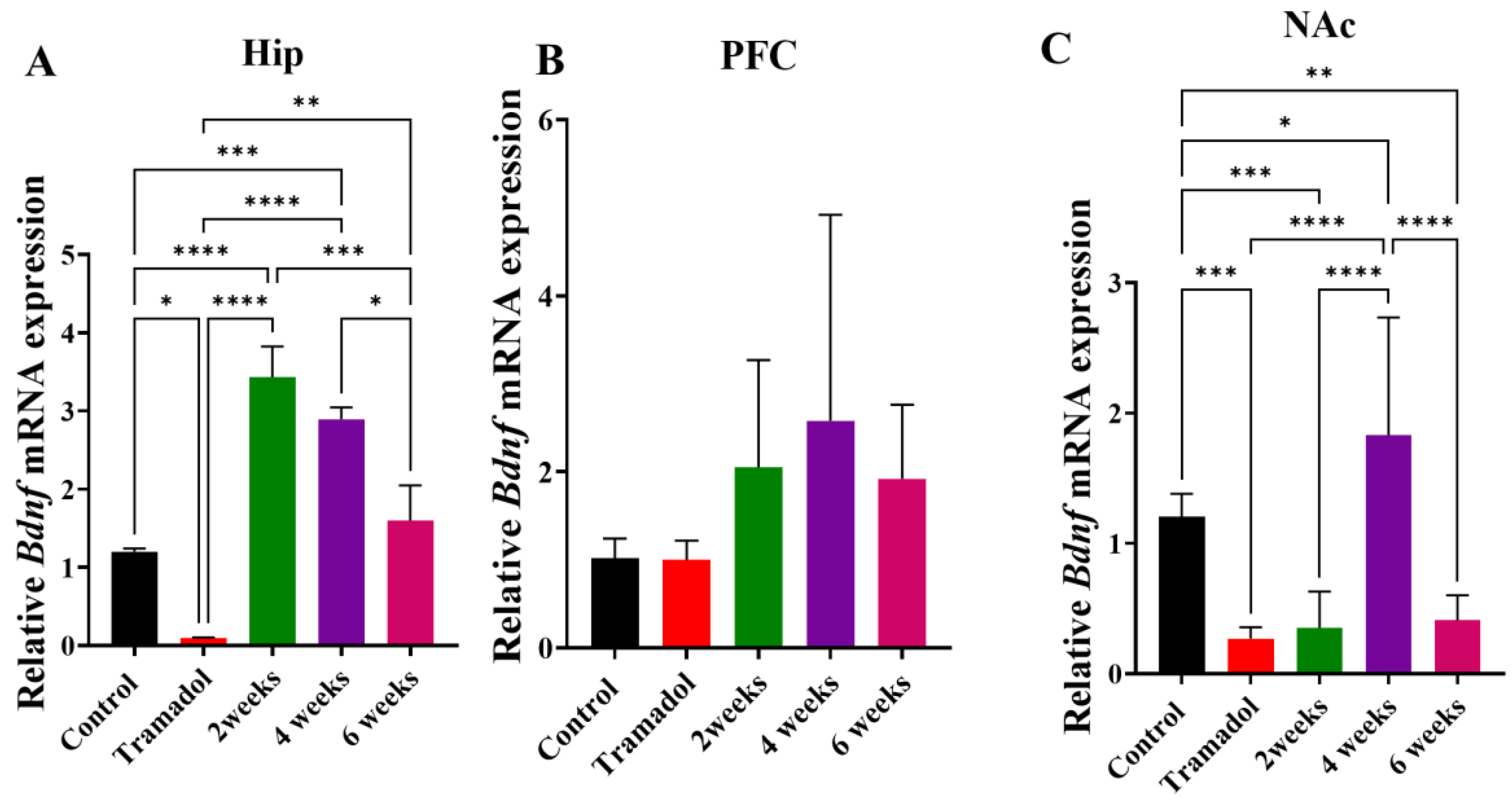Brainsci 15 00089 g003 Brainsci 15 00089 g003