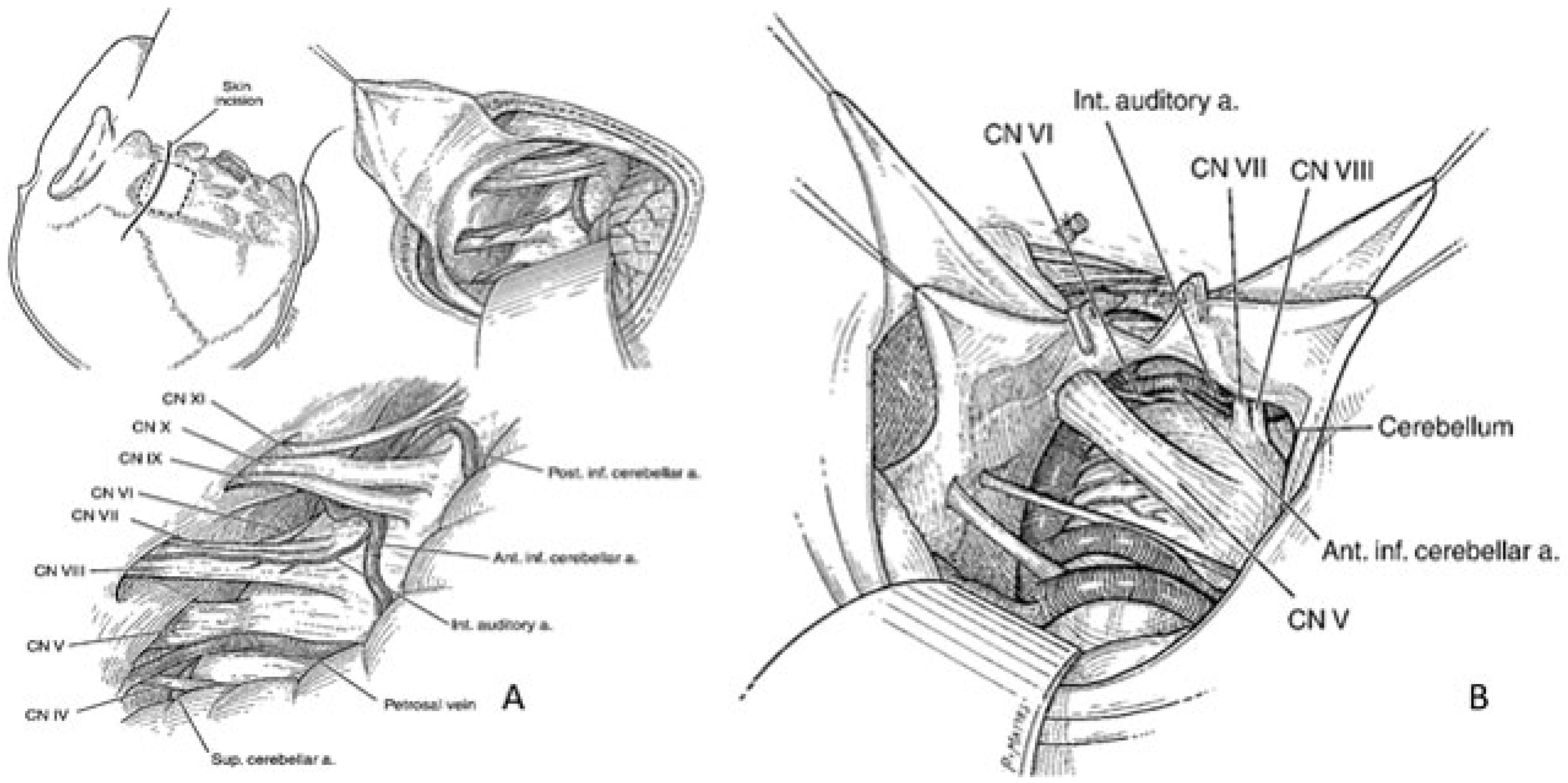 Brainsci 15 00104 g002