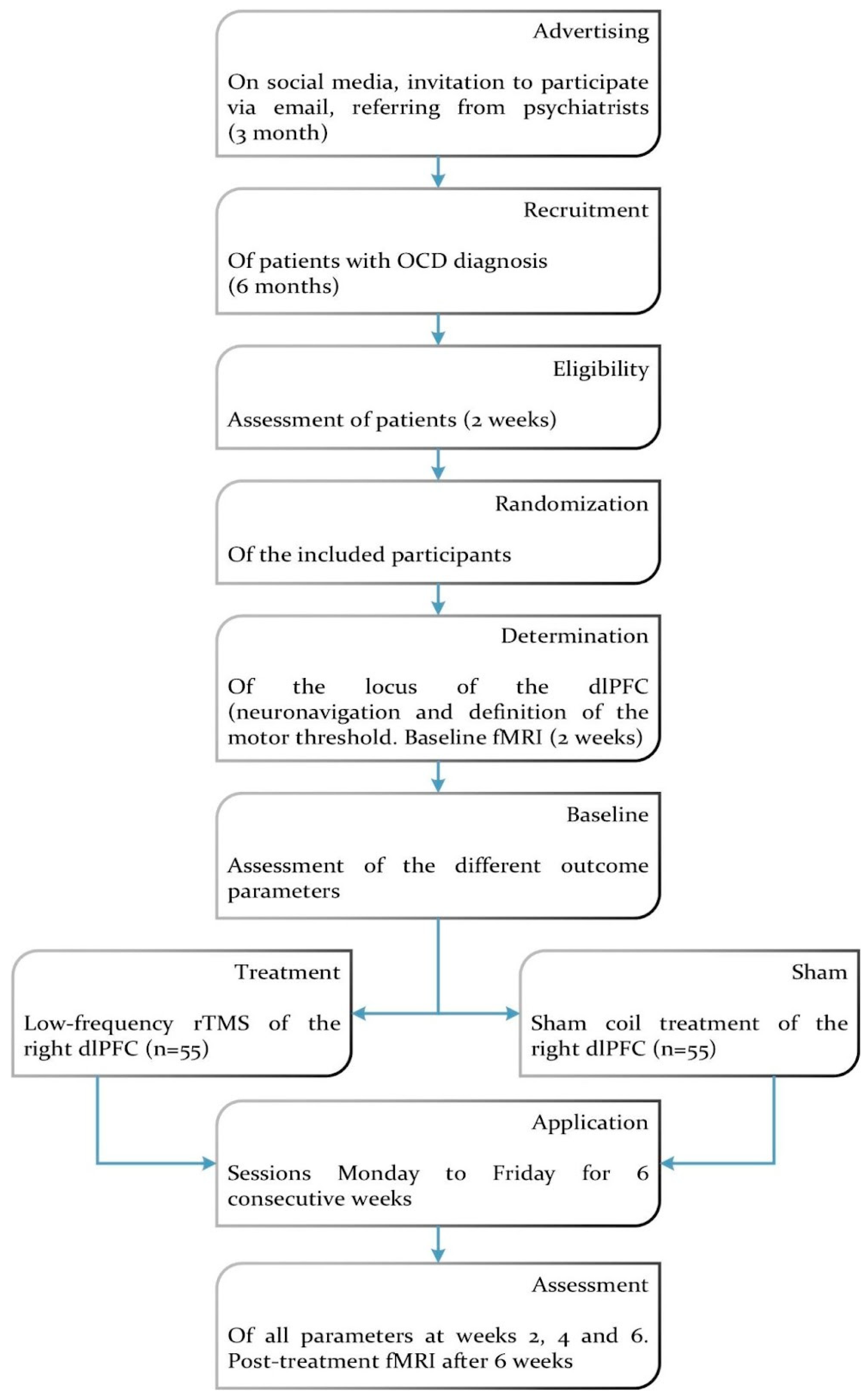 Brainsci 15 00106 g001