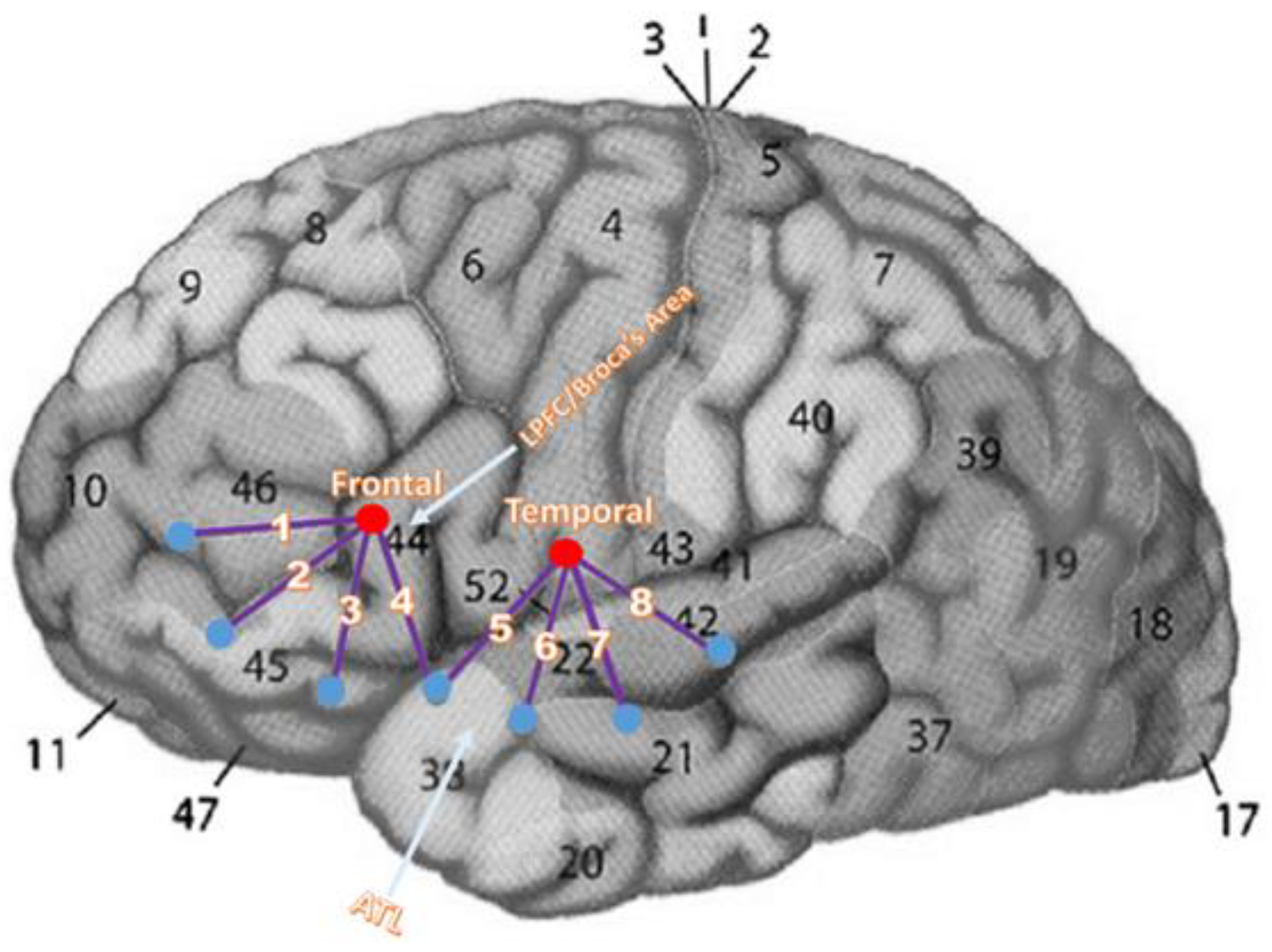 Brainsci 15 00127 g003 Brainsci 15 00127 g003