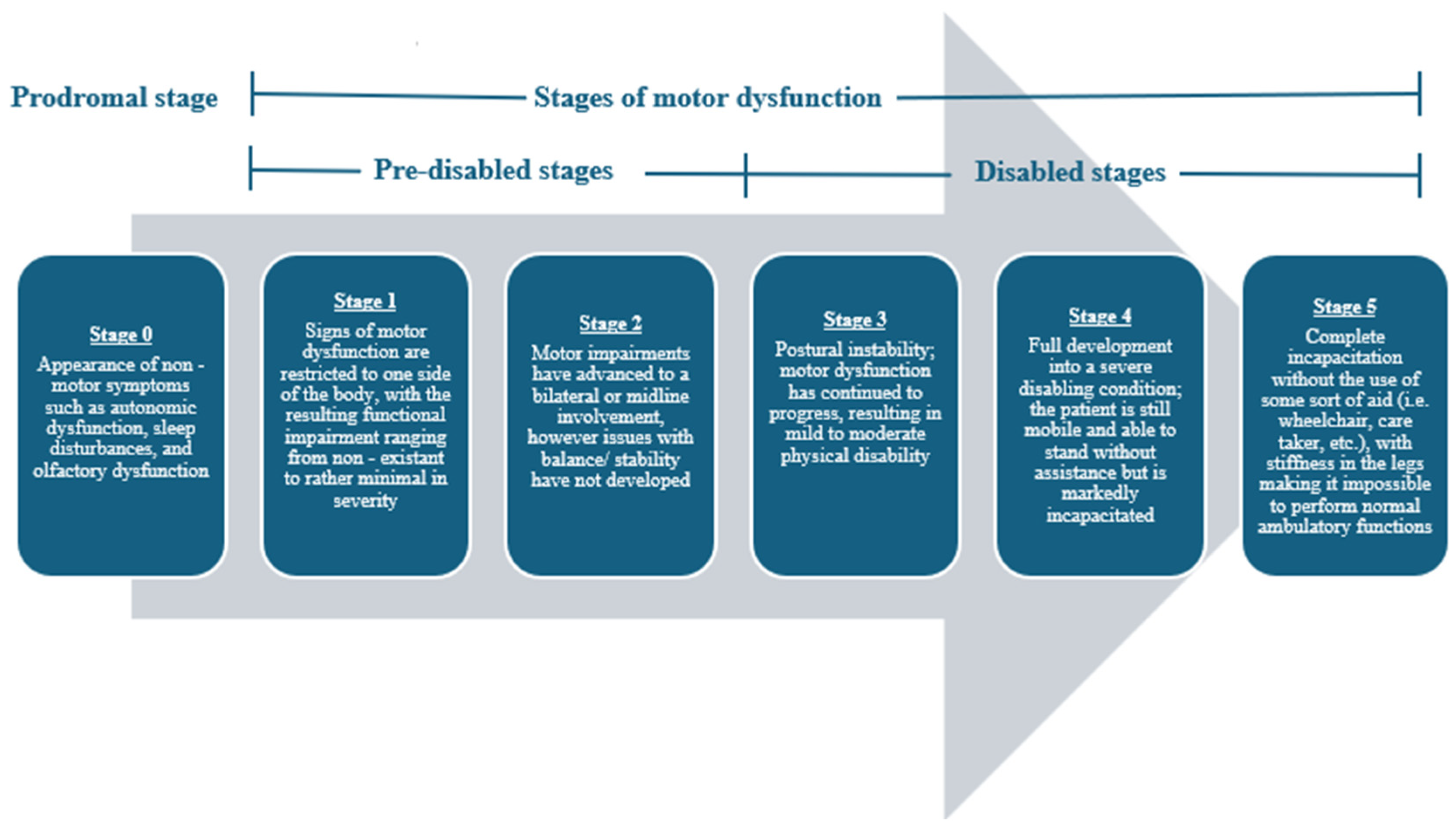 Brainsci 15 00144 g001