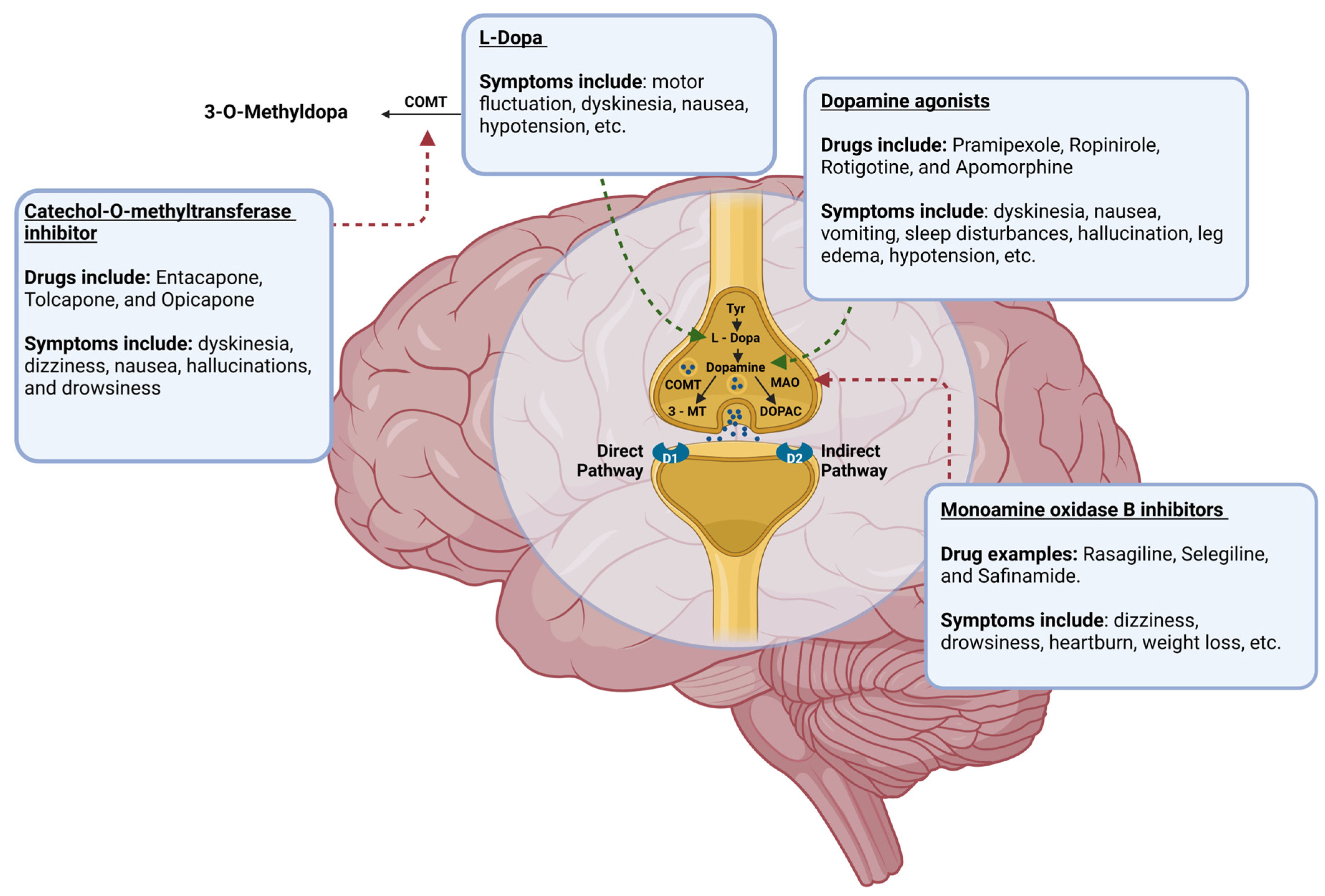 Brainsci 15 00144 g002