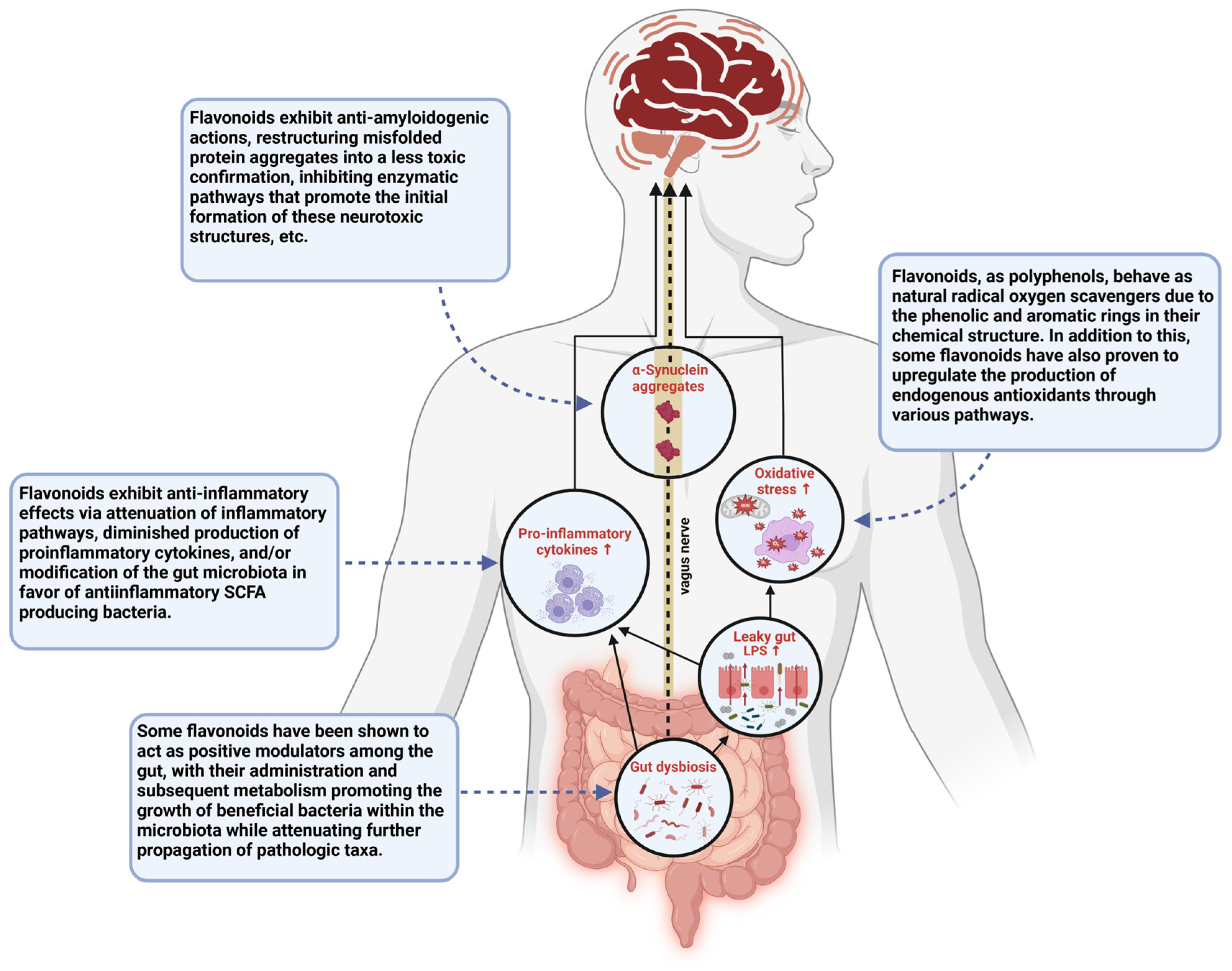 Brainsci 15 00144 g003