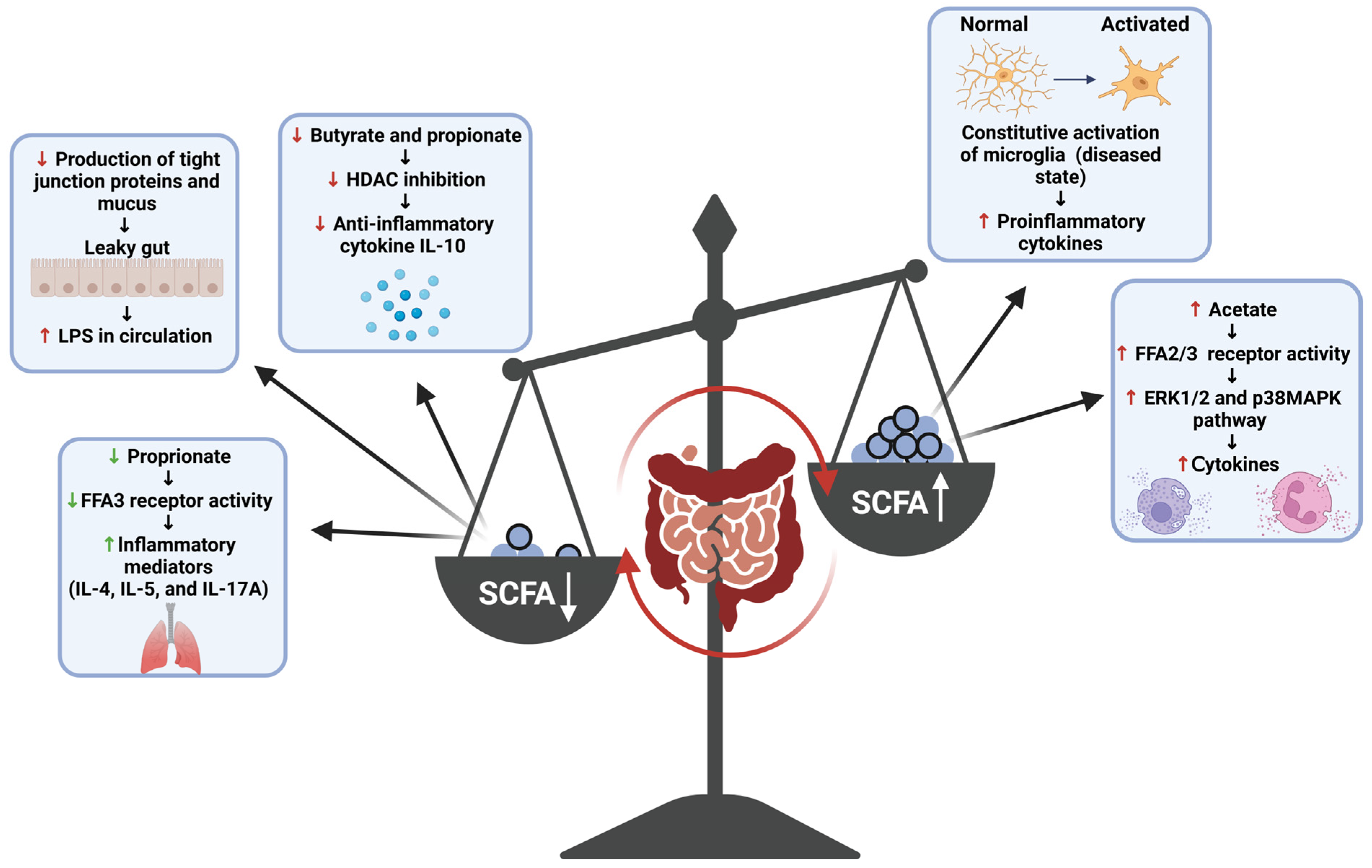Brainsci 15 00144 g004