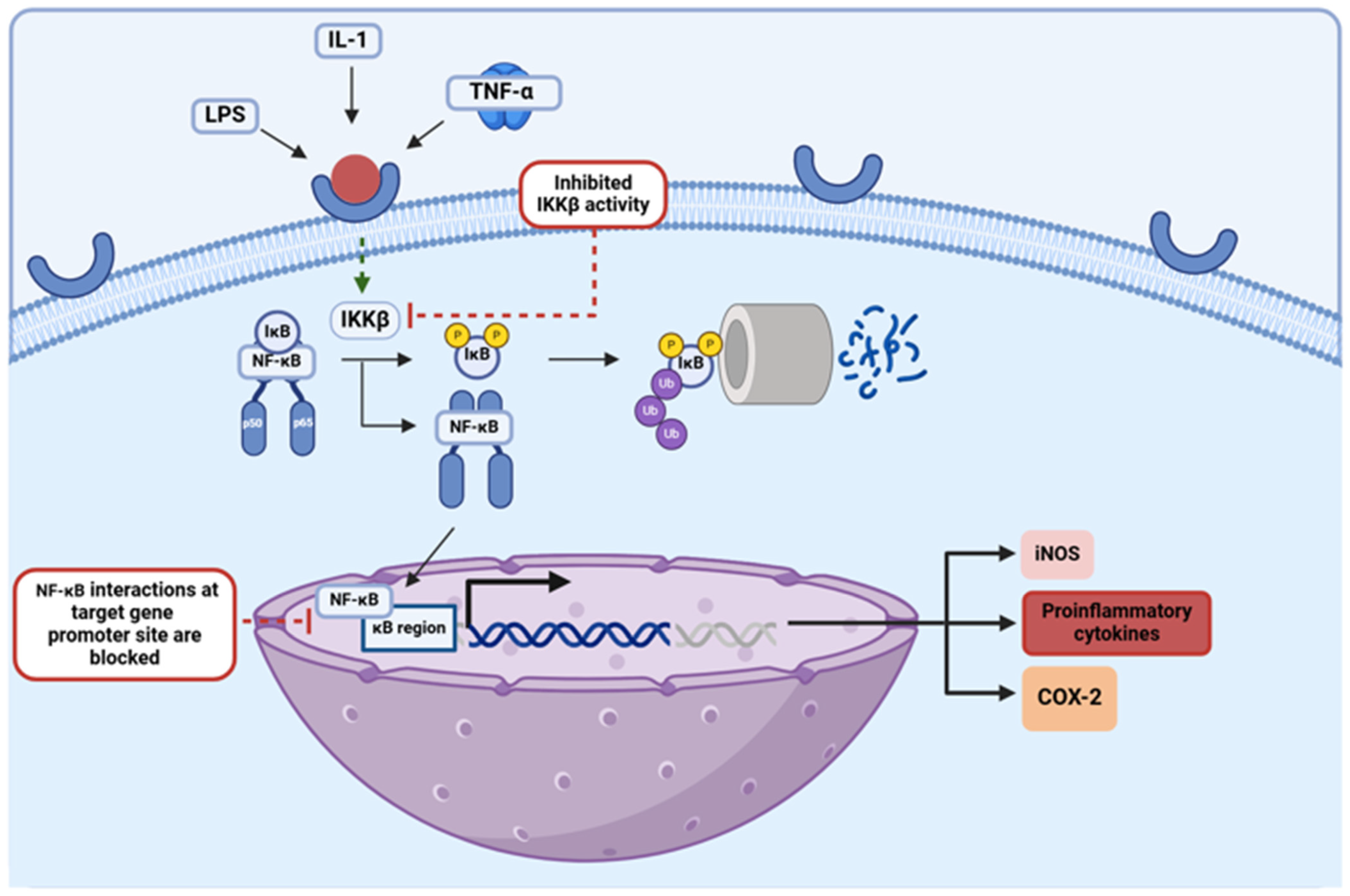 Brainsci 15 00144 g005