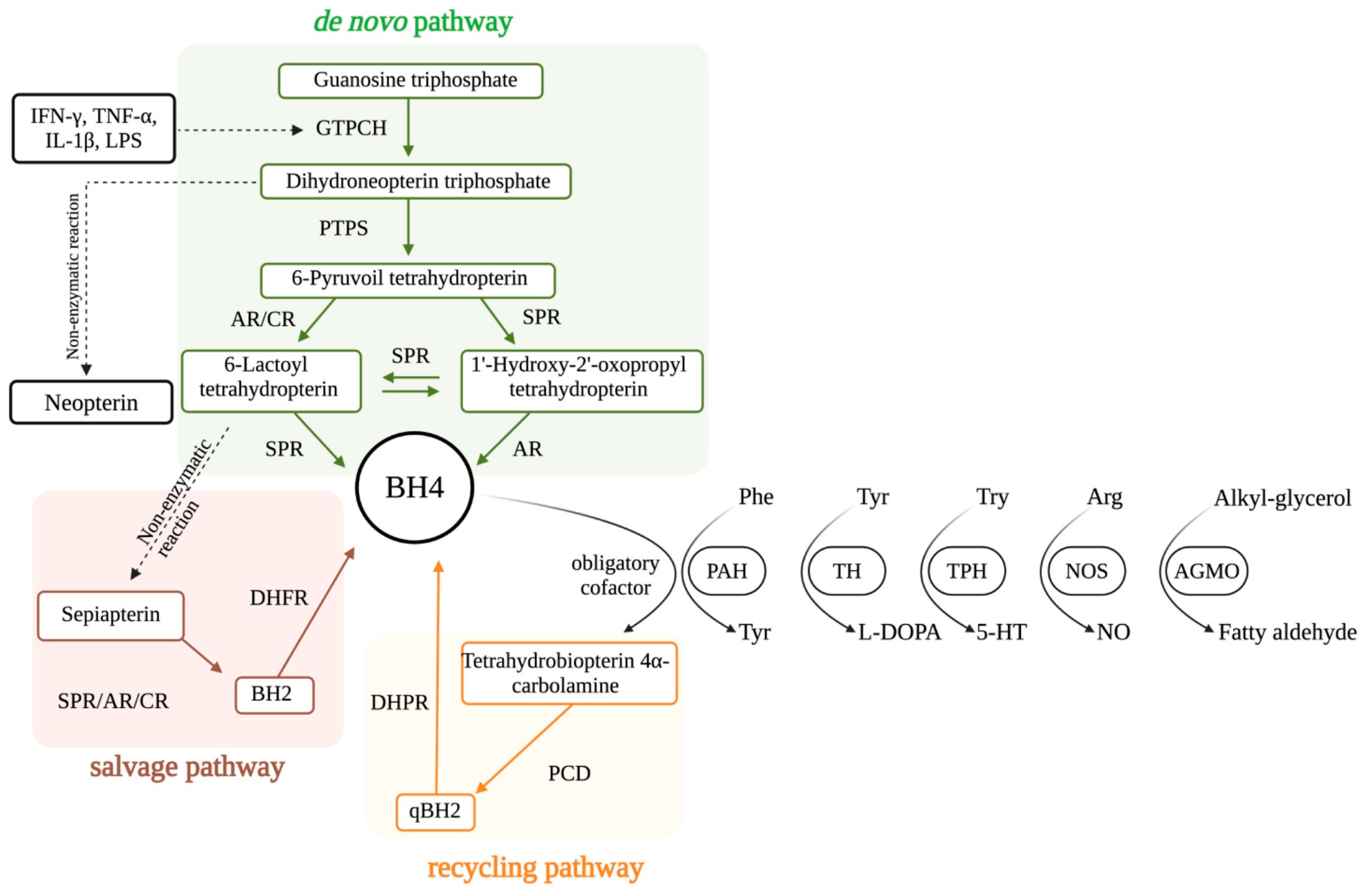 Brainsci 15 00151 g001 Brainsci 15 00151 g001