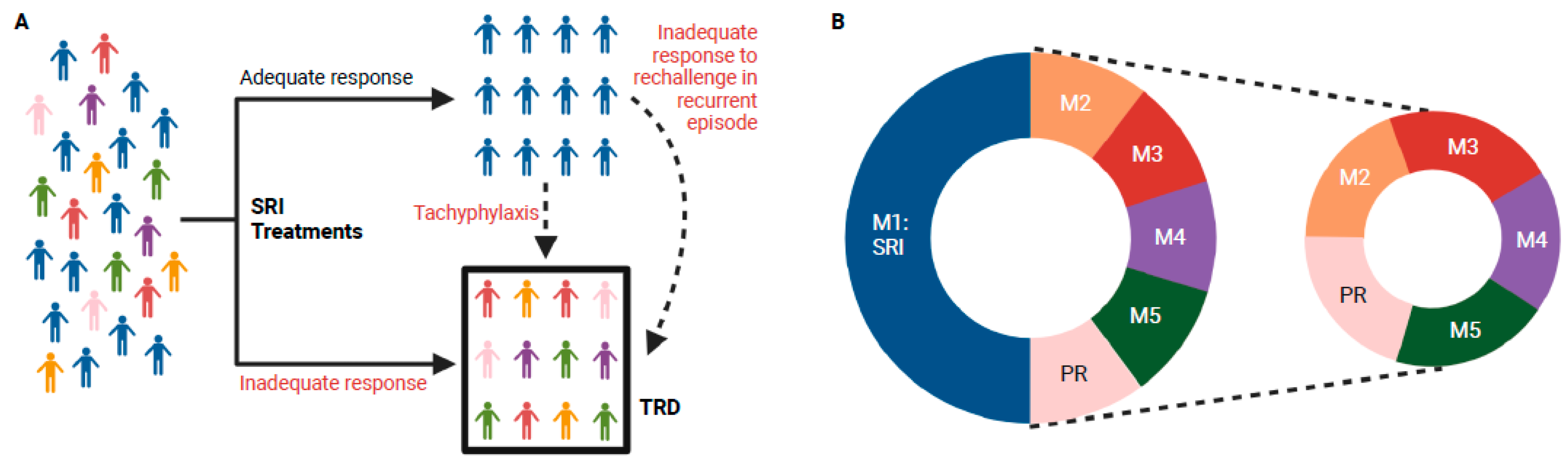 Brainsci 15 00161 g001
