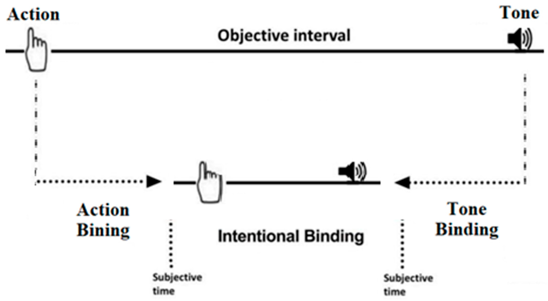 Brainsci 15 00176 g002