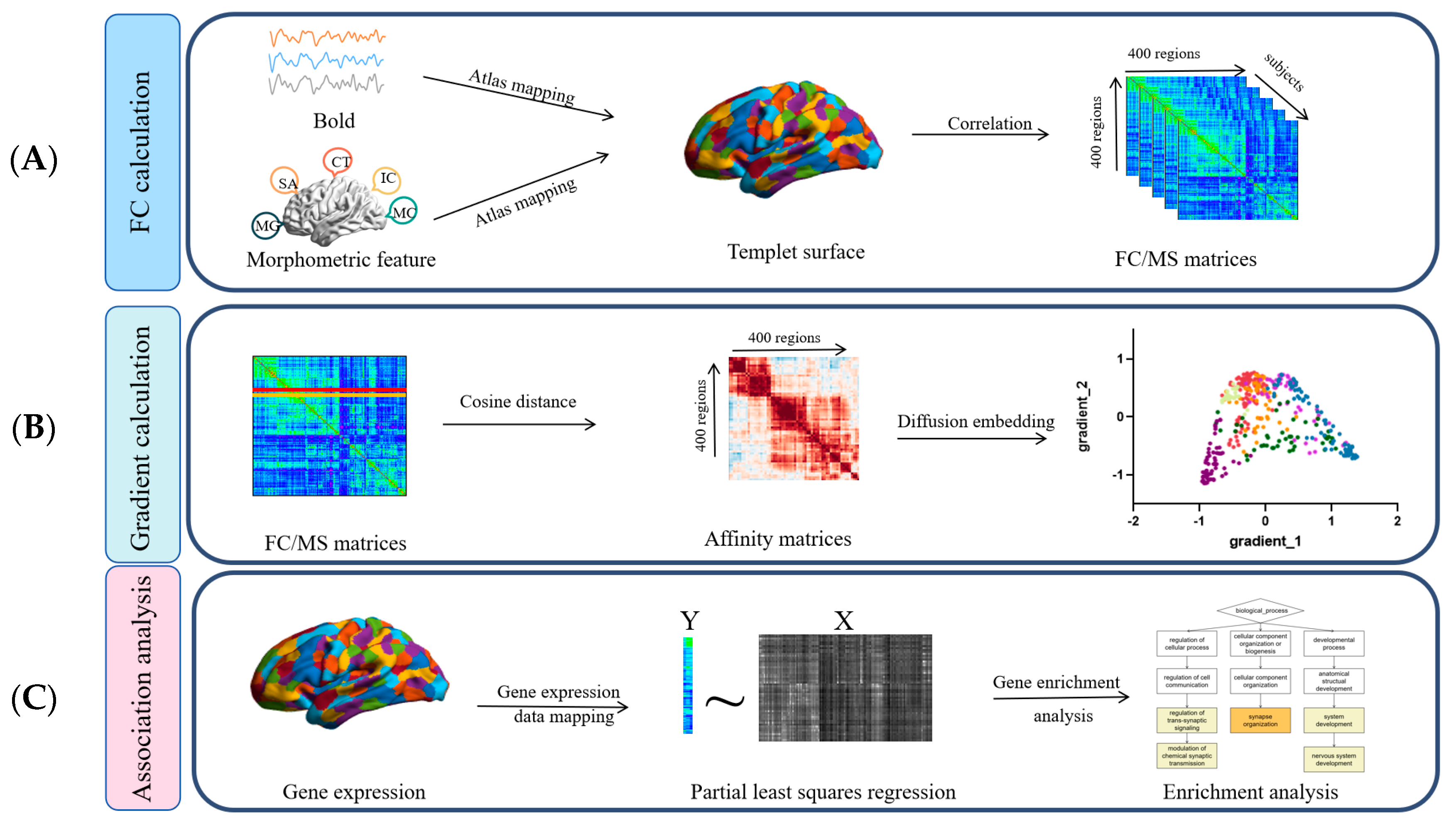 Brainsci 15 00179 g001