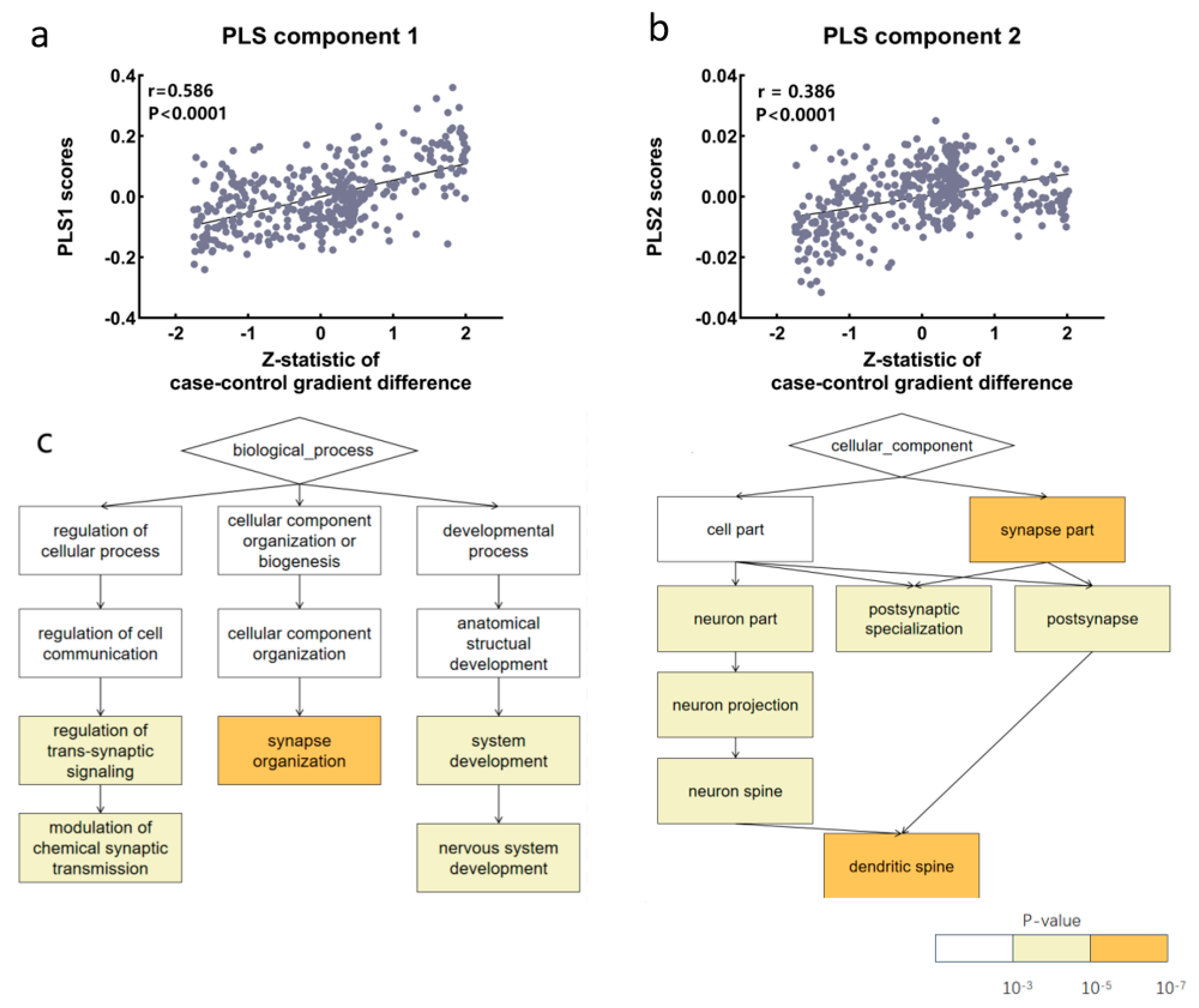 Brainsci 15 00179 g004